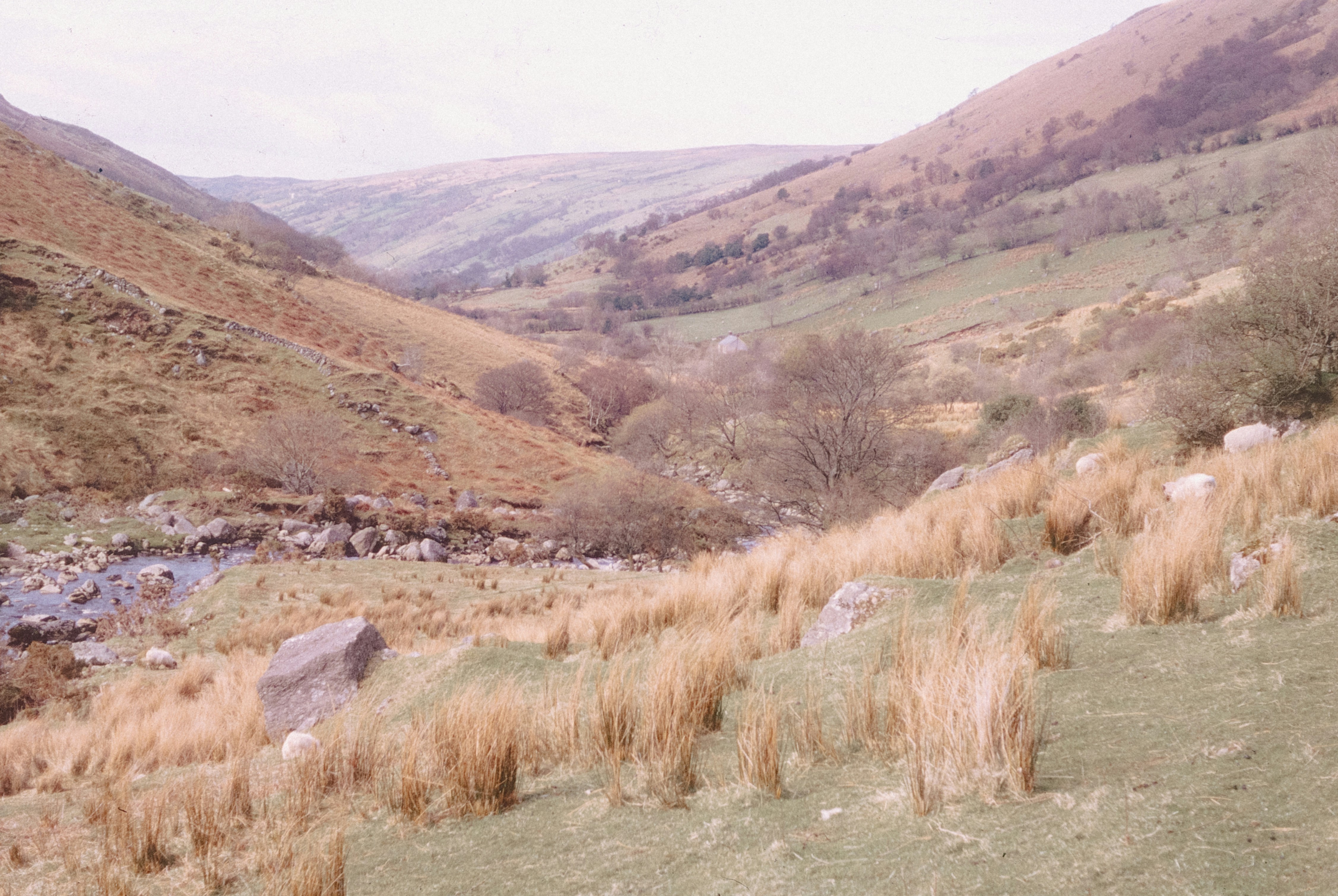 Photo by anniespratt