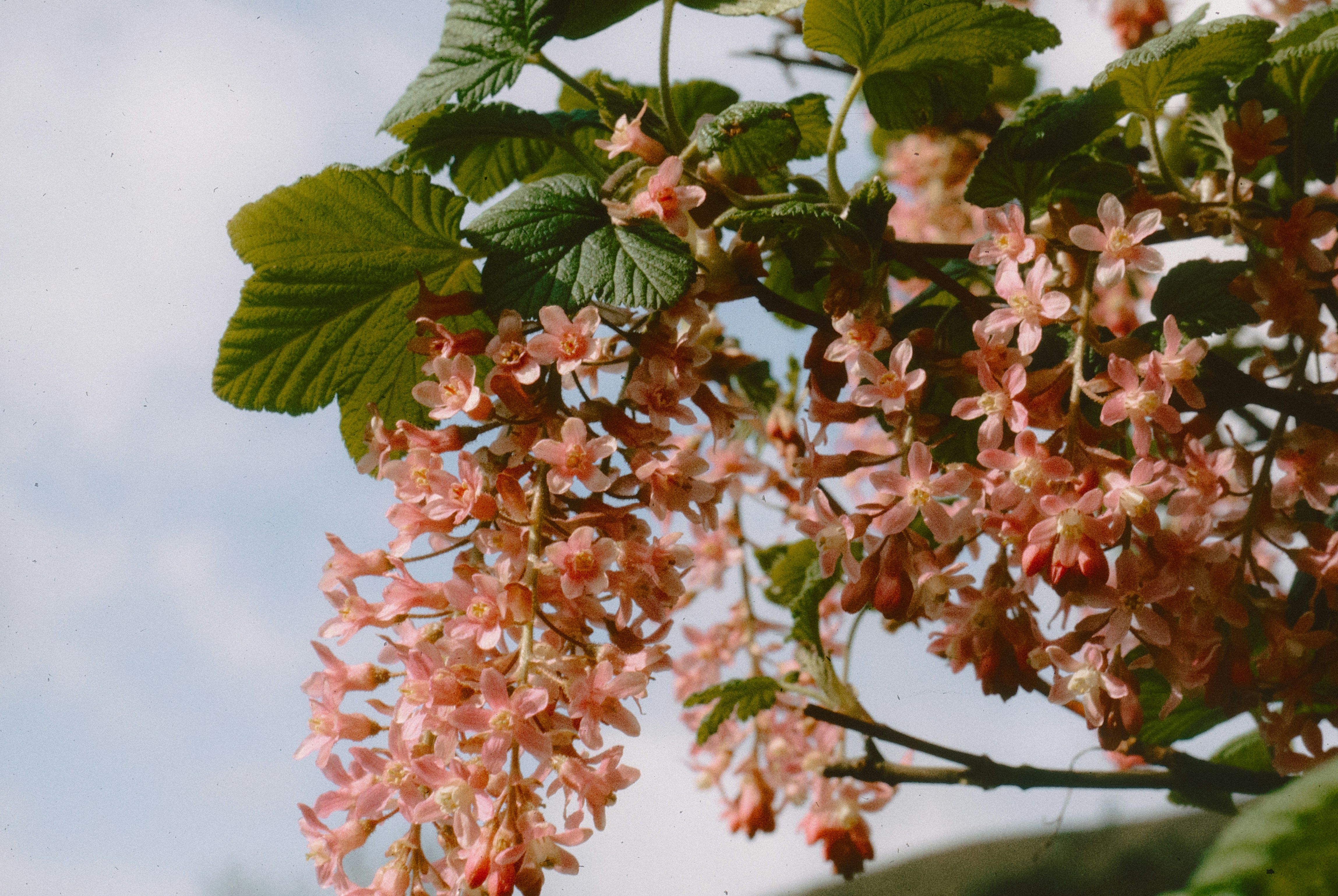 Photo by anniespratt