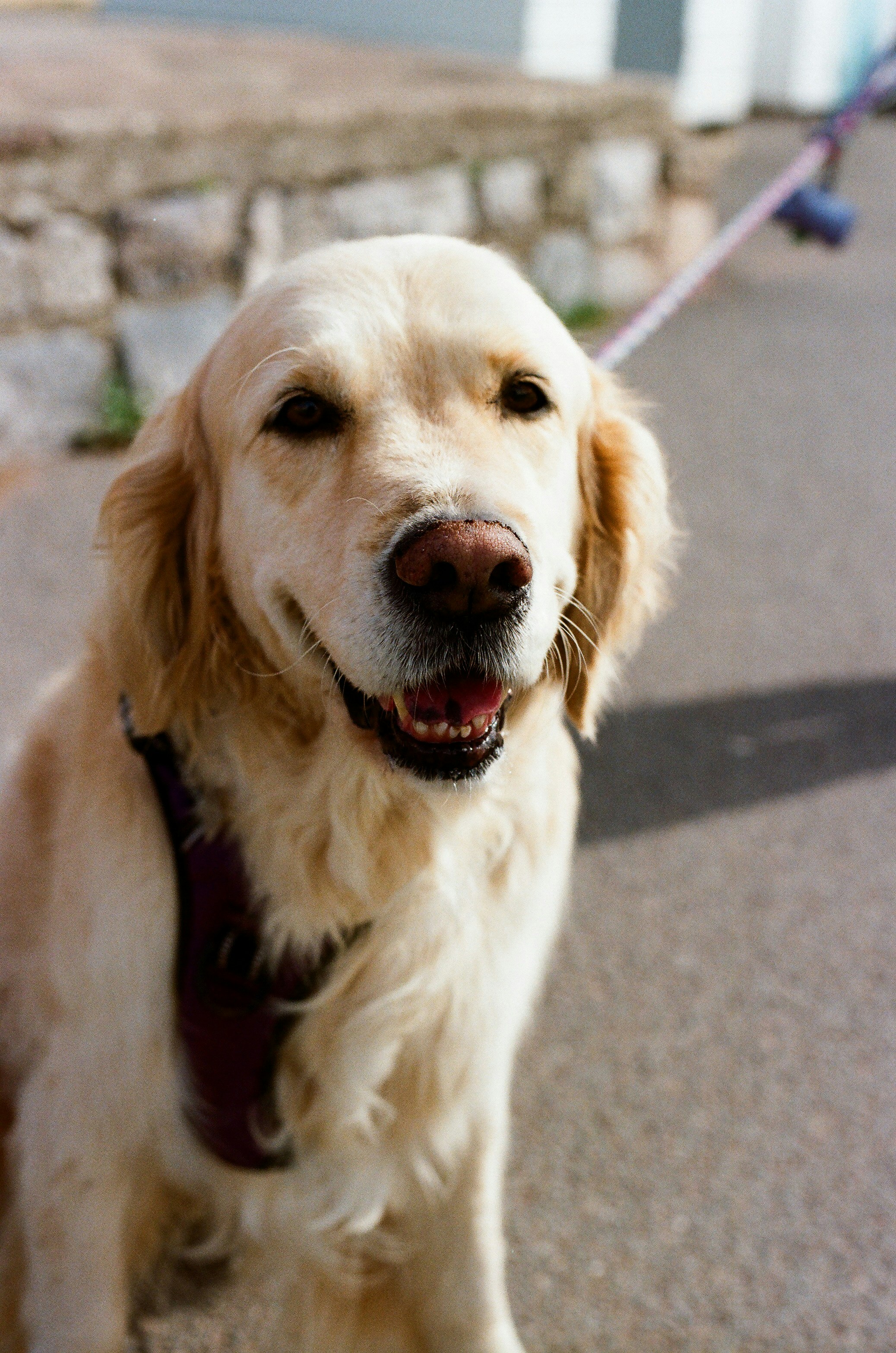 Photo by tanyabarrow