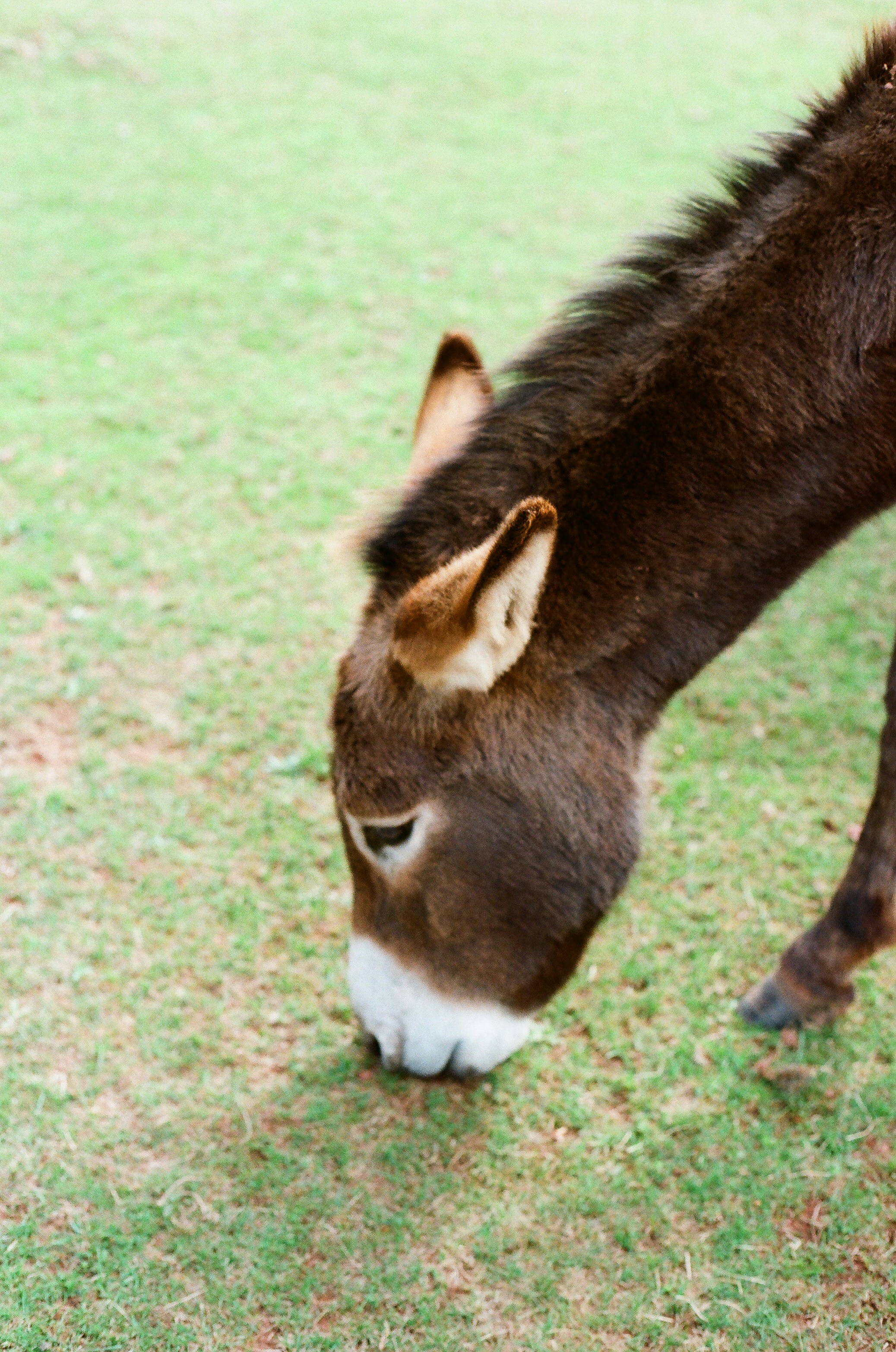 Photo by tanyabarrow