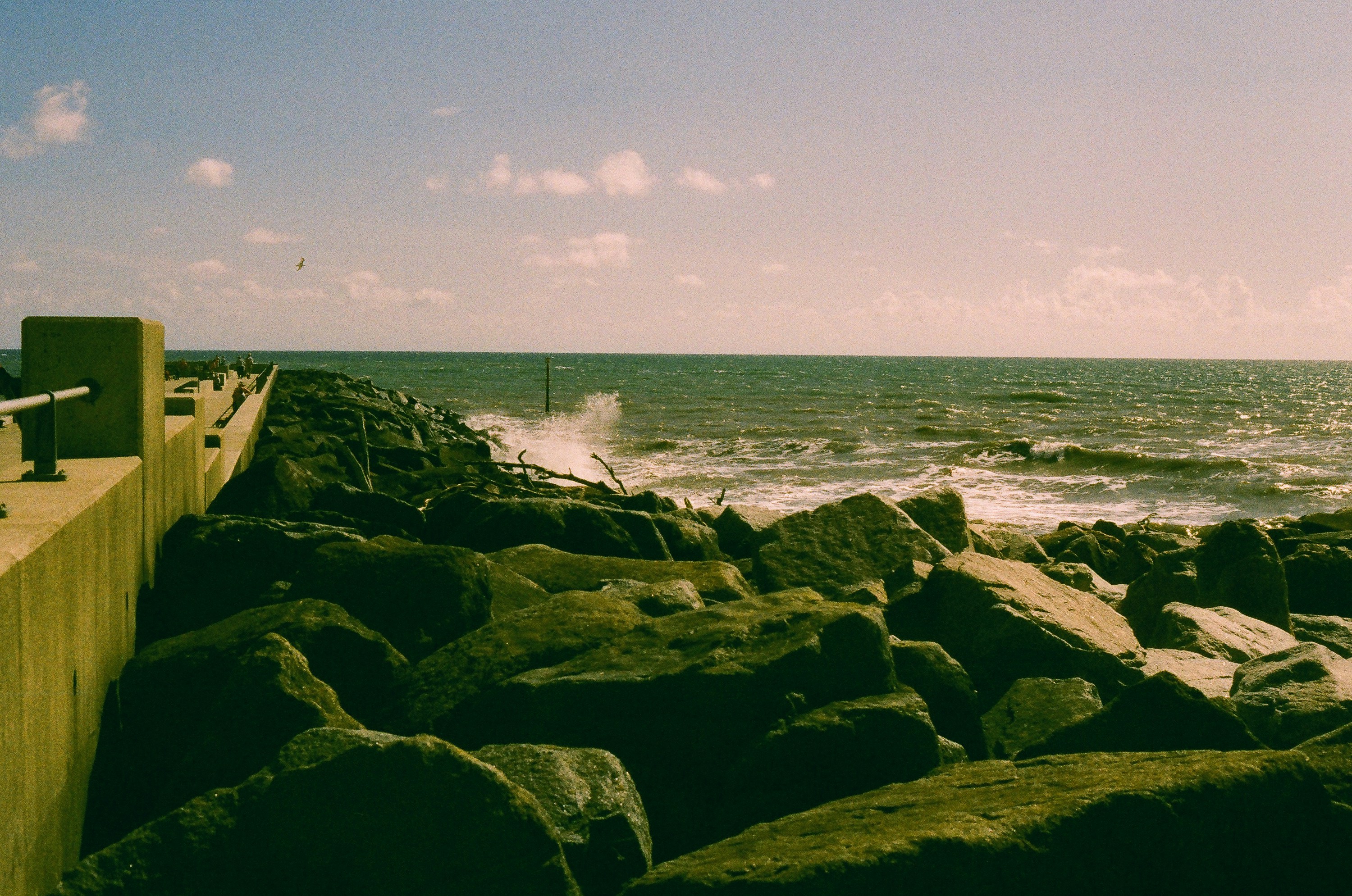 Photo by tanyabarrow