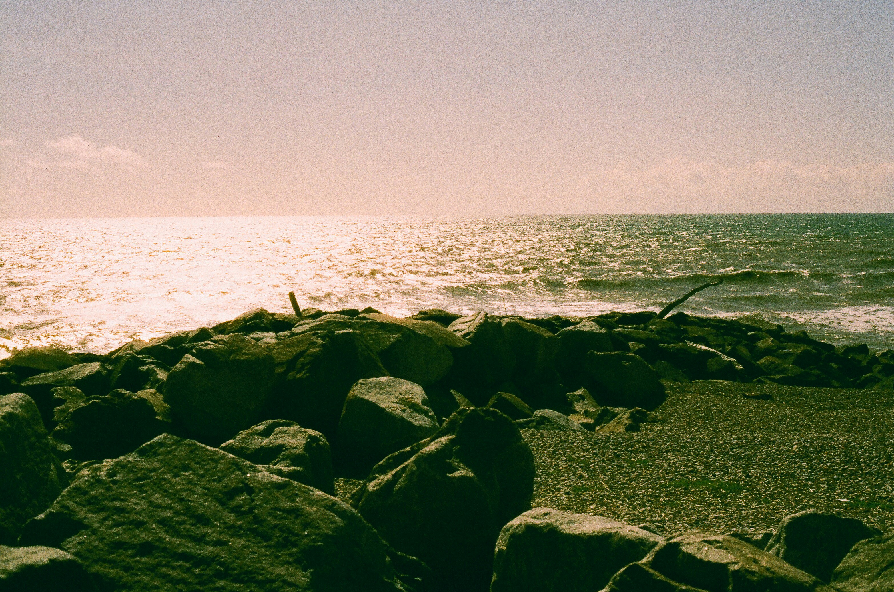 Photo by tanyabarrow