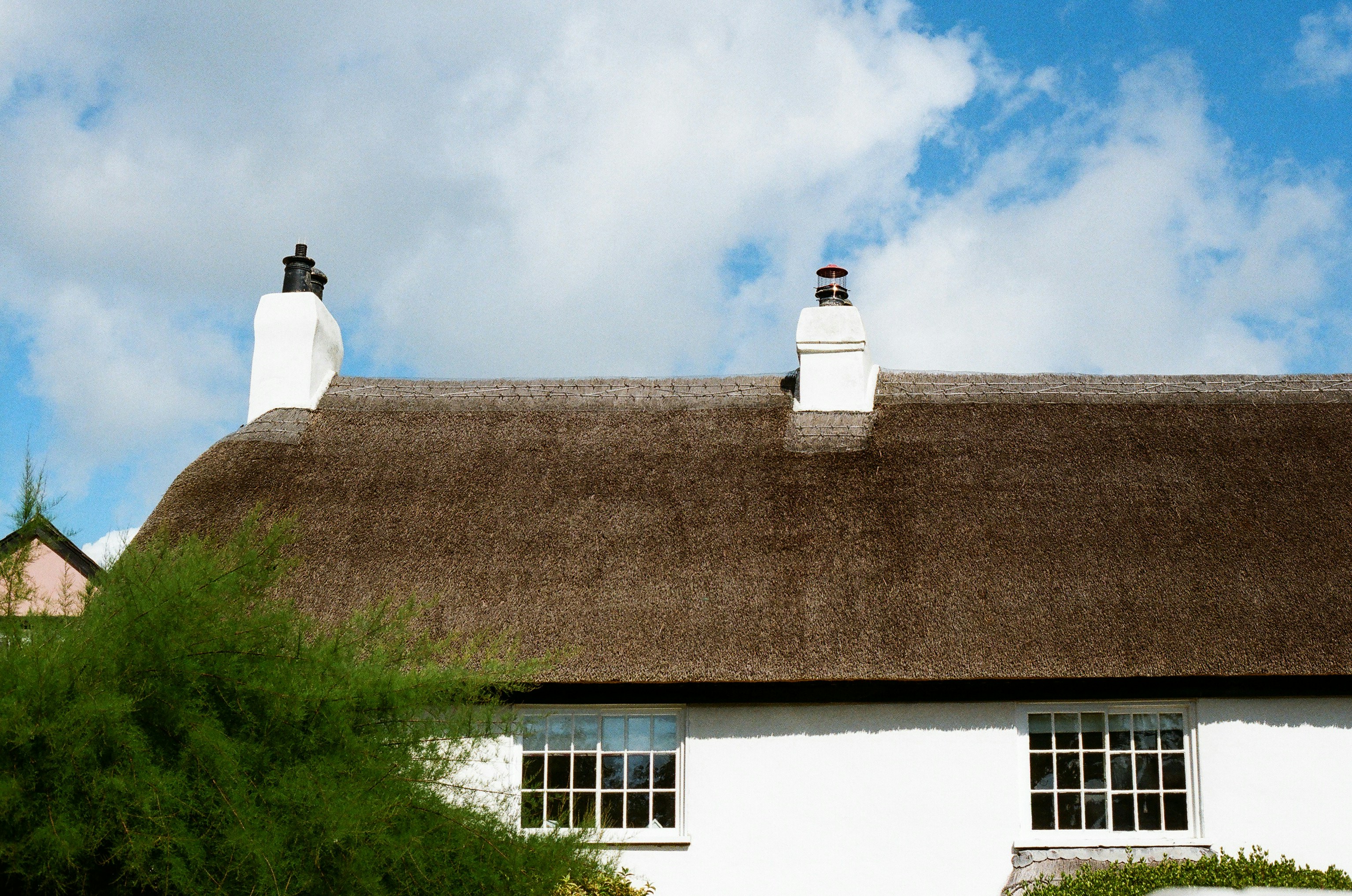 Photo by tanyabarrow