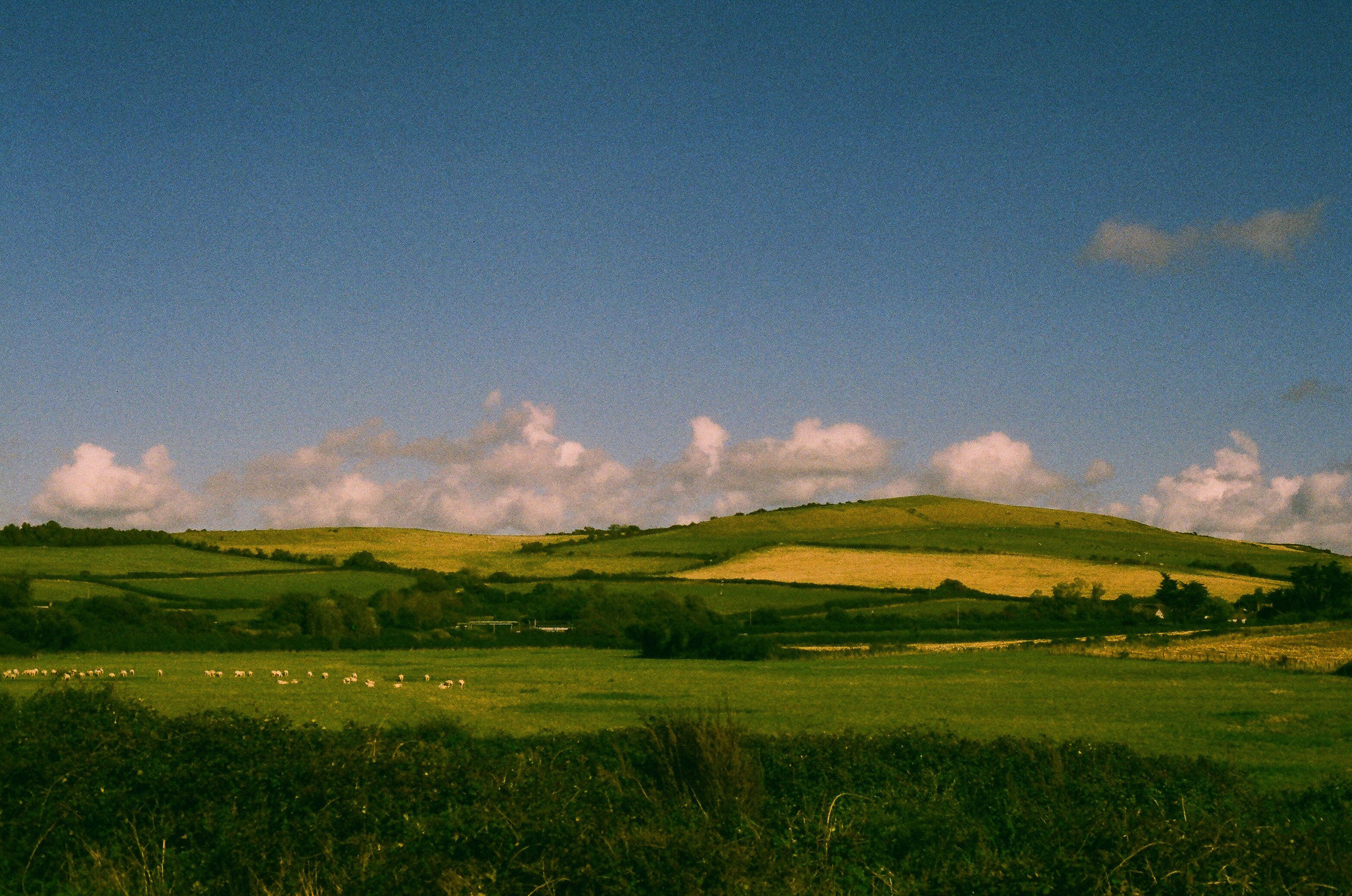 Photo by tanyabarrow