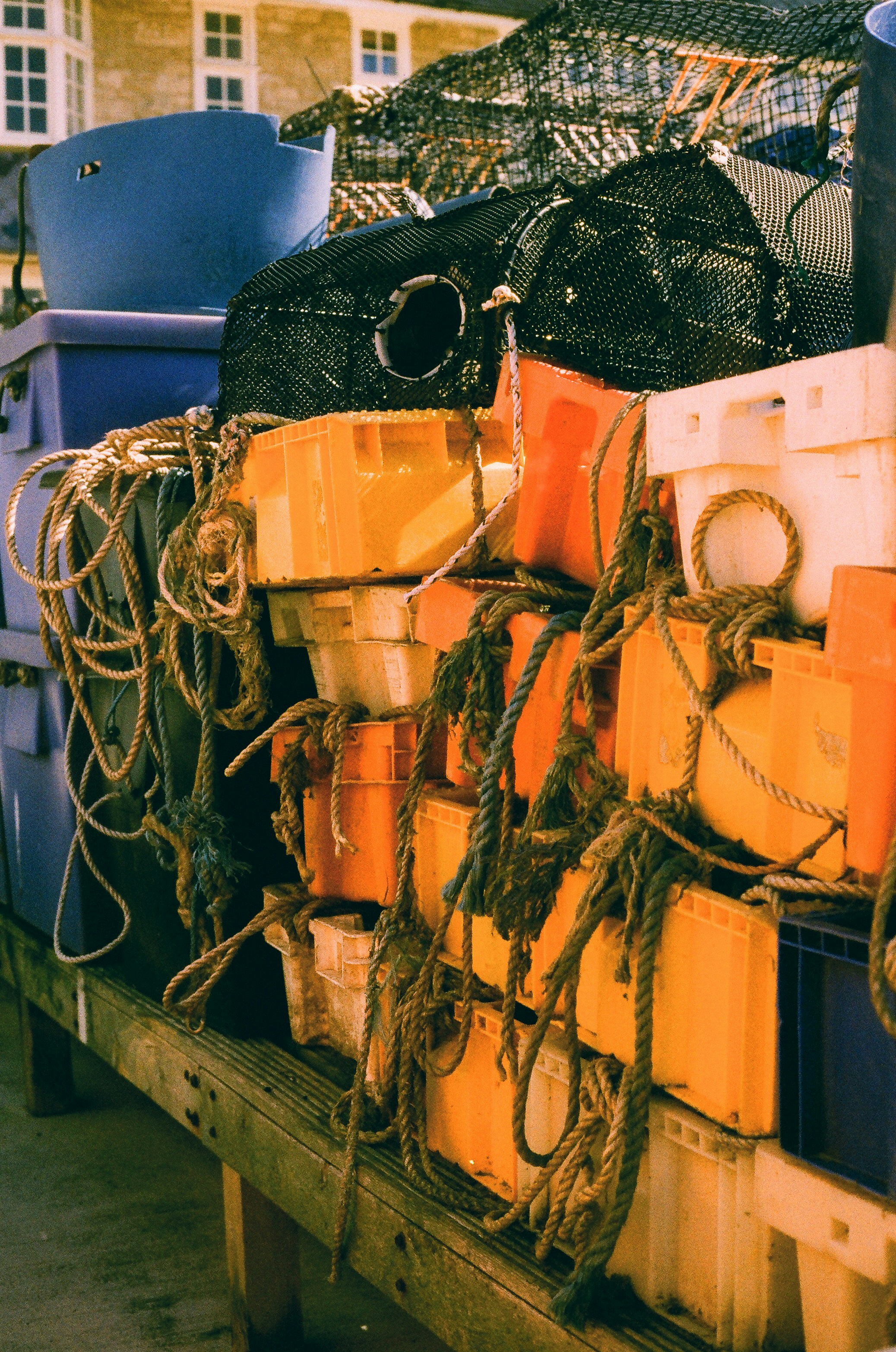 Photo by tanyabarrow