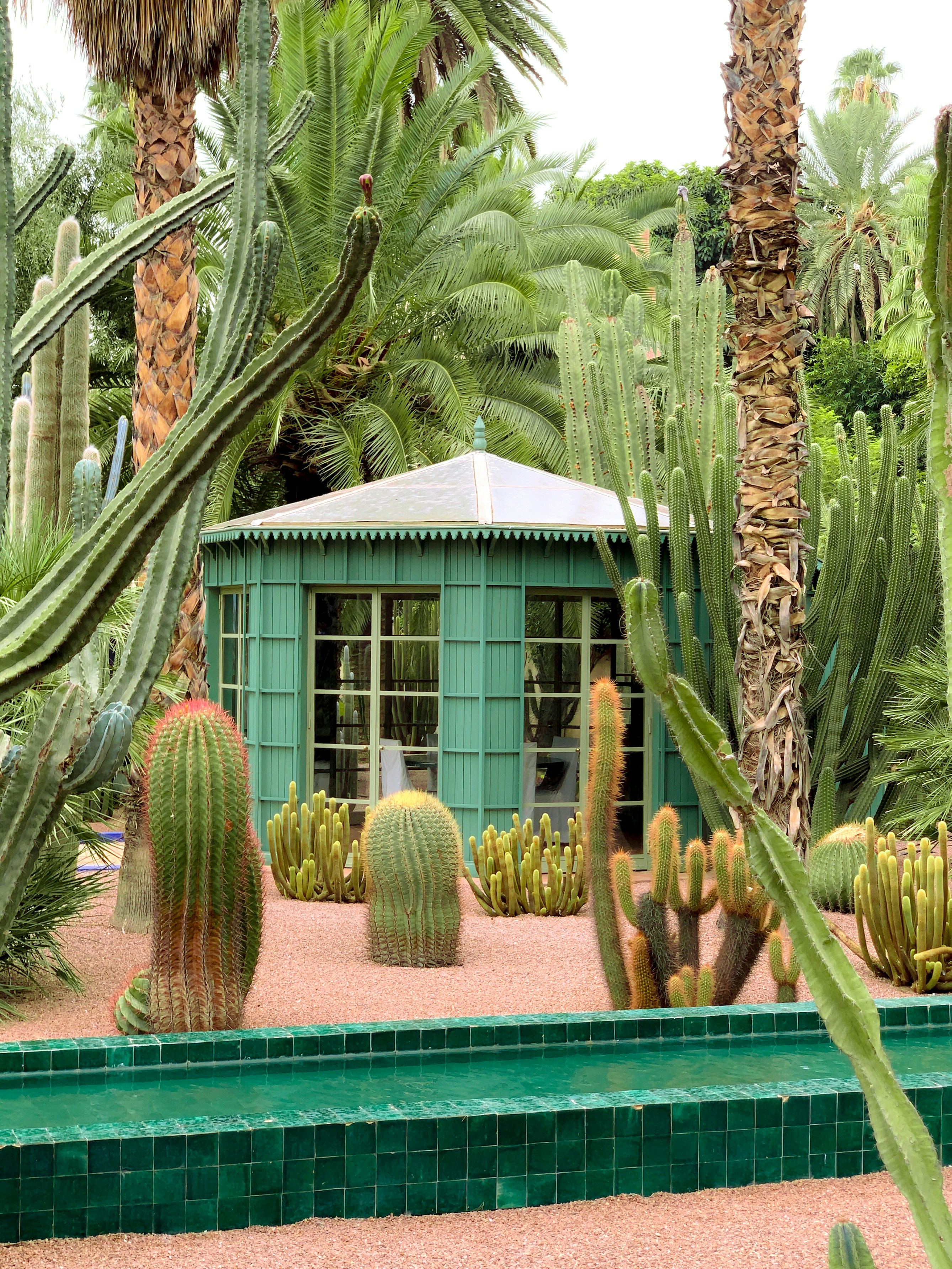 Photo by haithamsardi