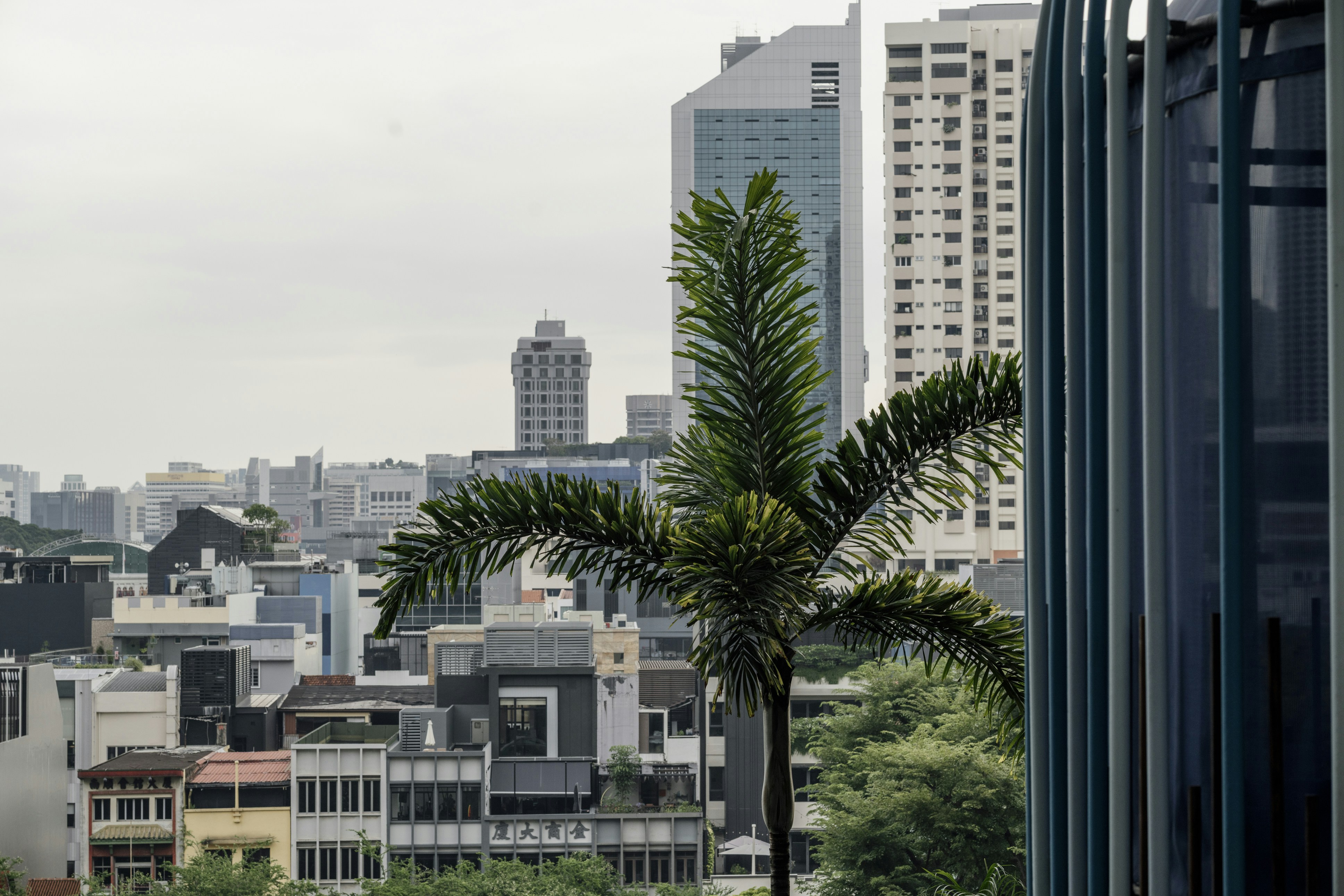 Photo by nerissa_j_photography