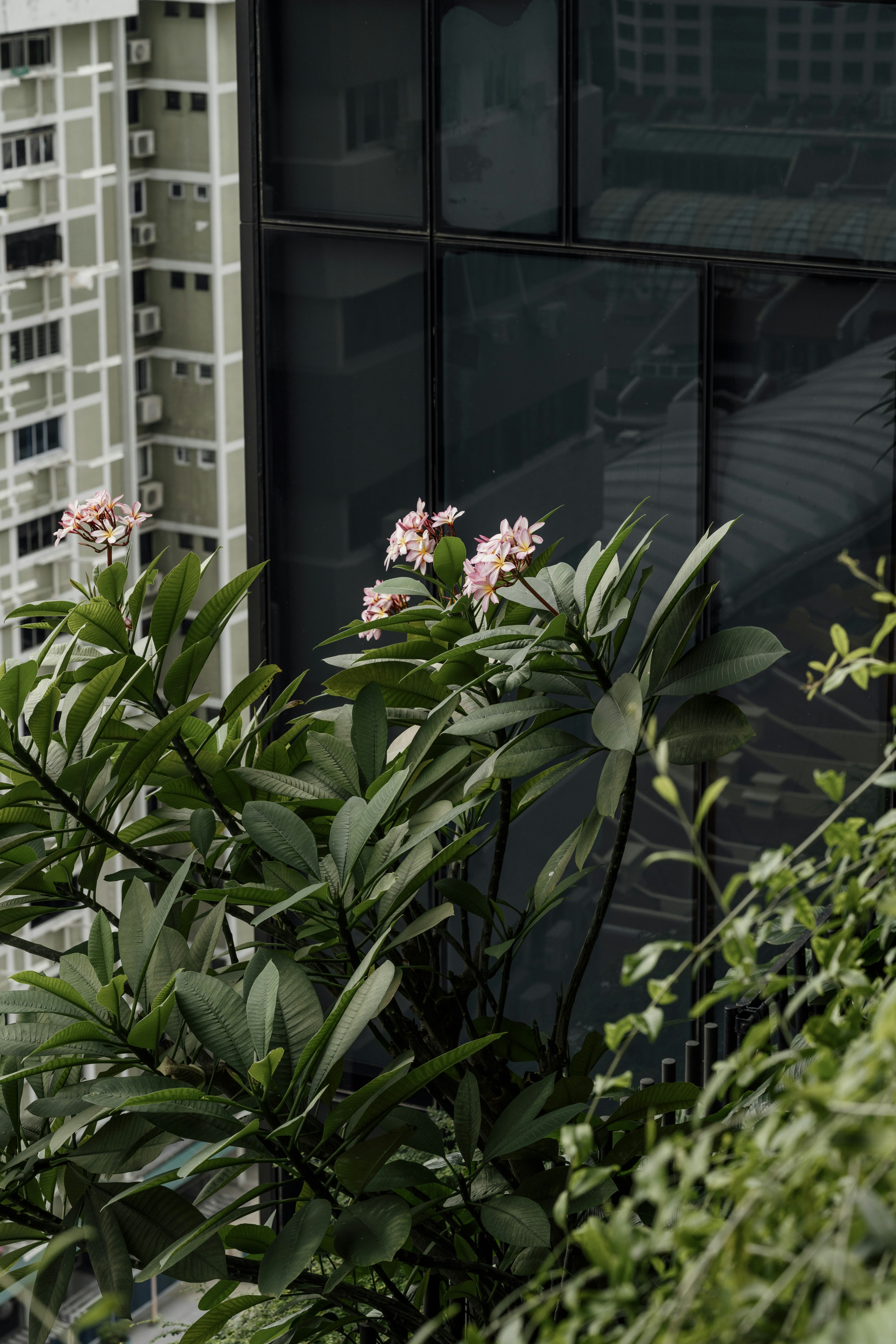 Photo by nerissa_j_photography