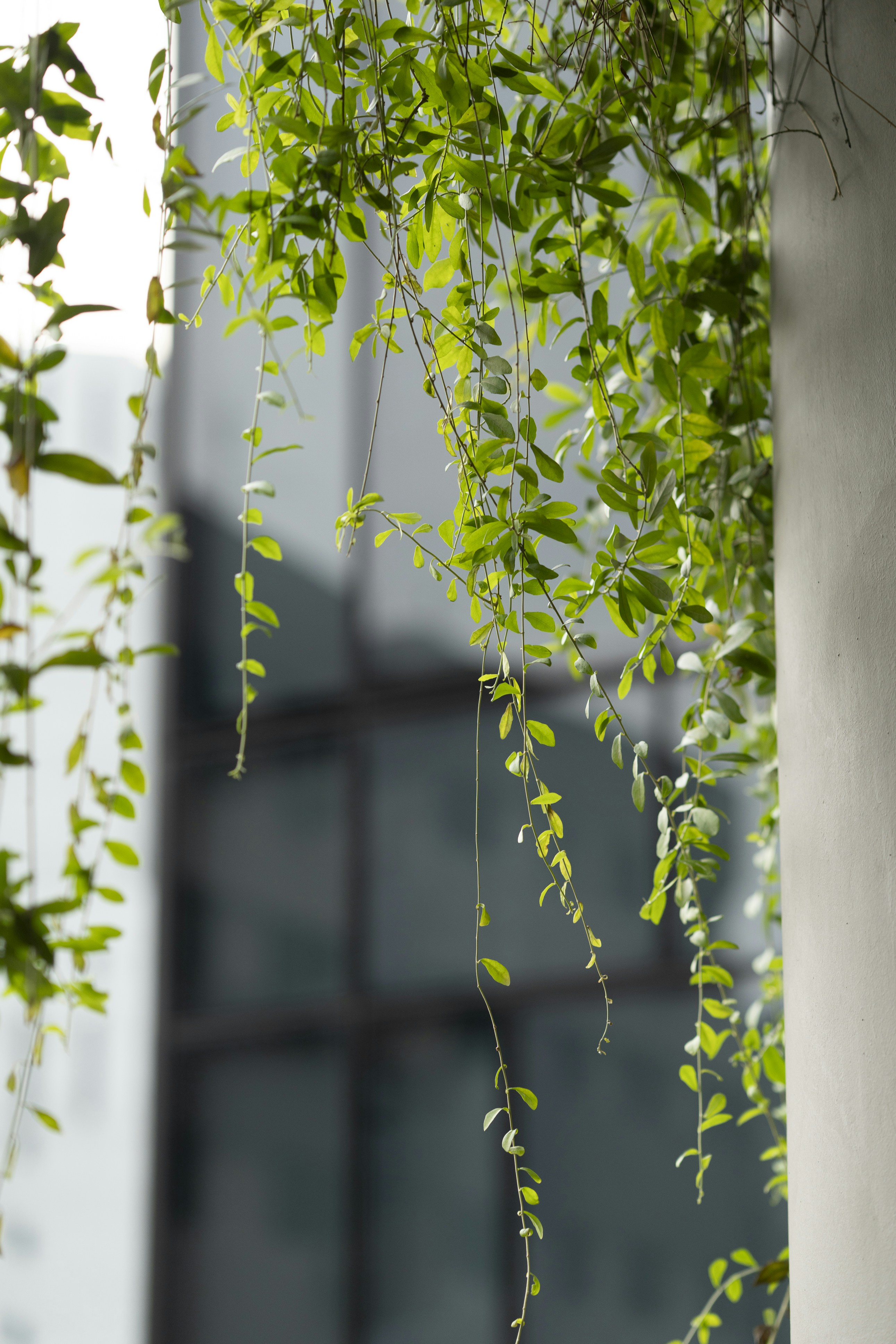 Photo by nerissa_j_photography