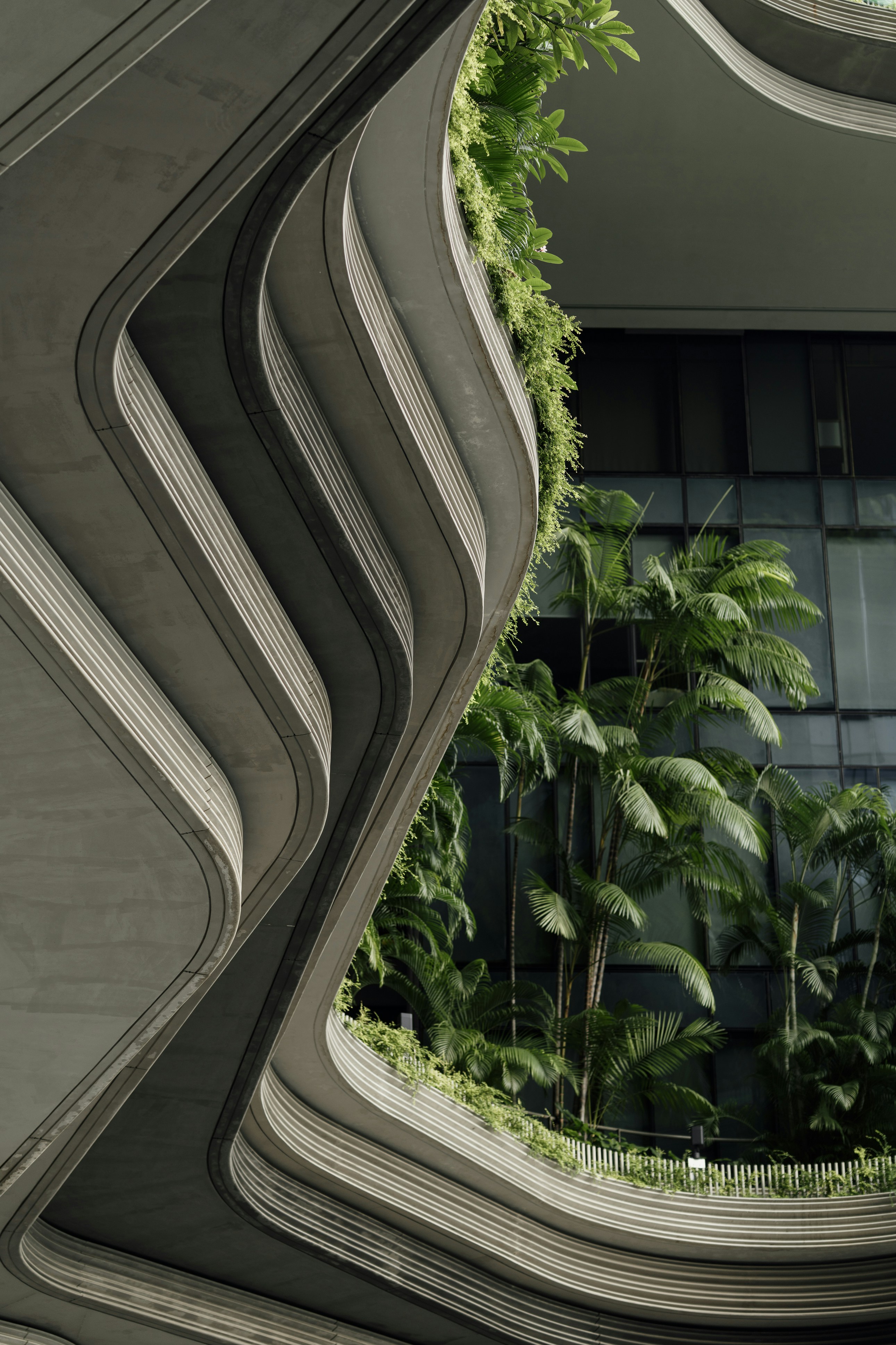 Photo by nerissa_j_photography