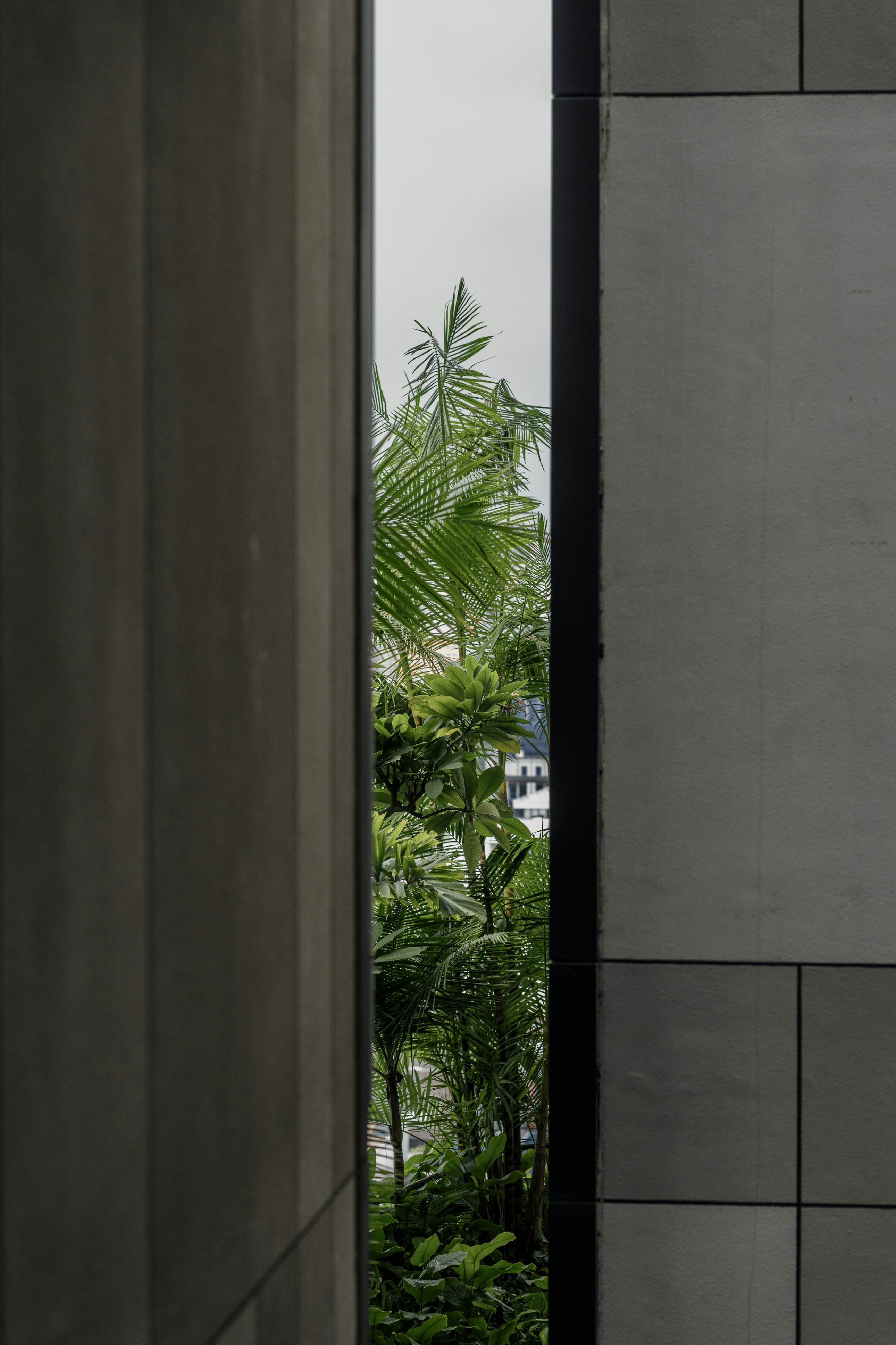 Photo by nerissa_j_photography