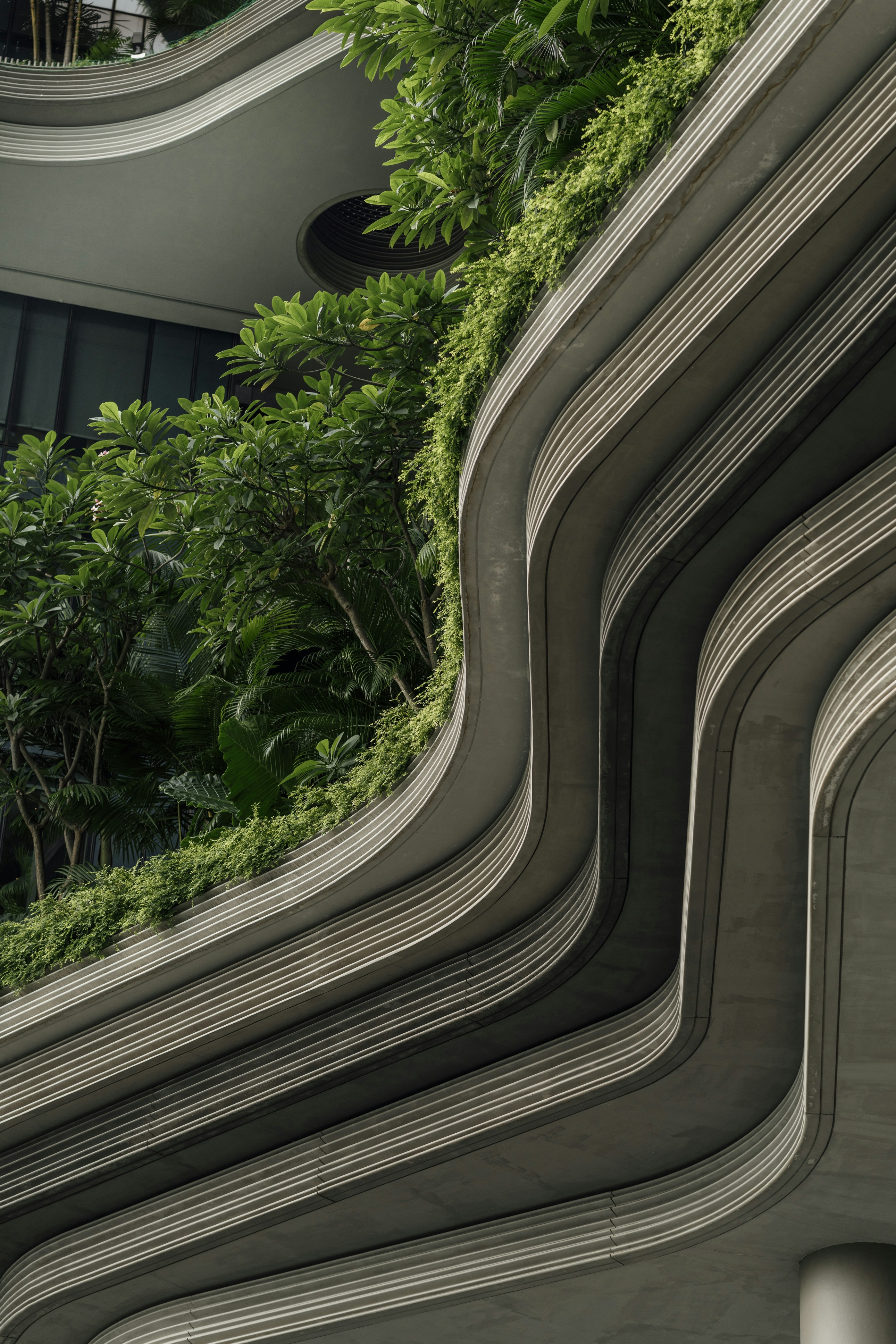 Photo by nerissa_j_photography