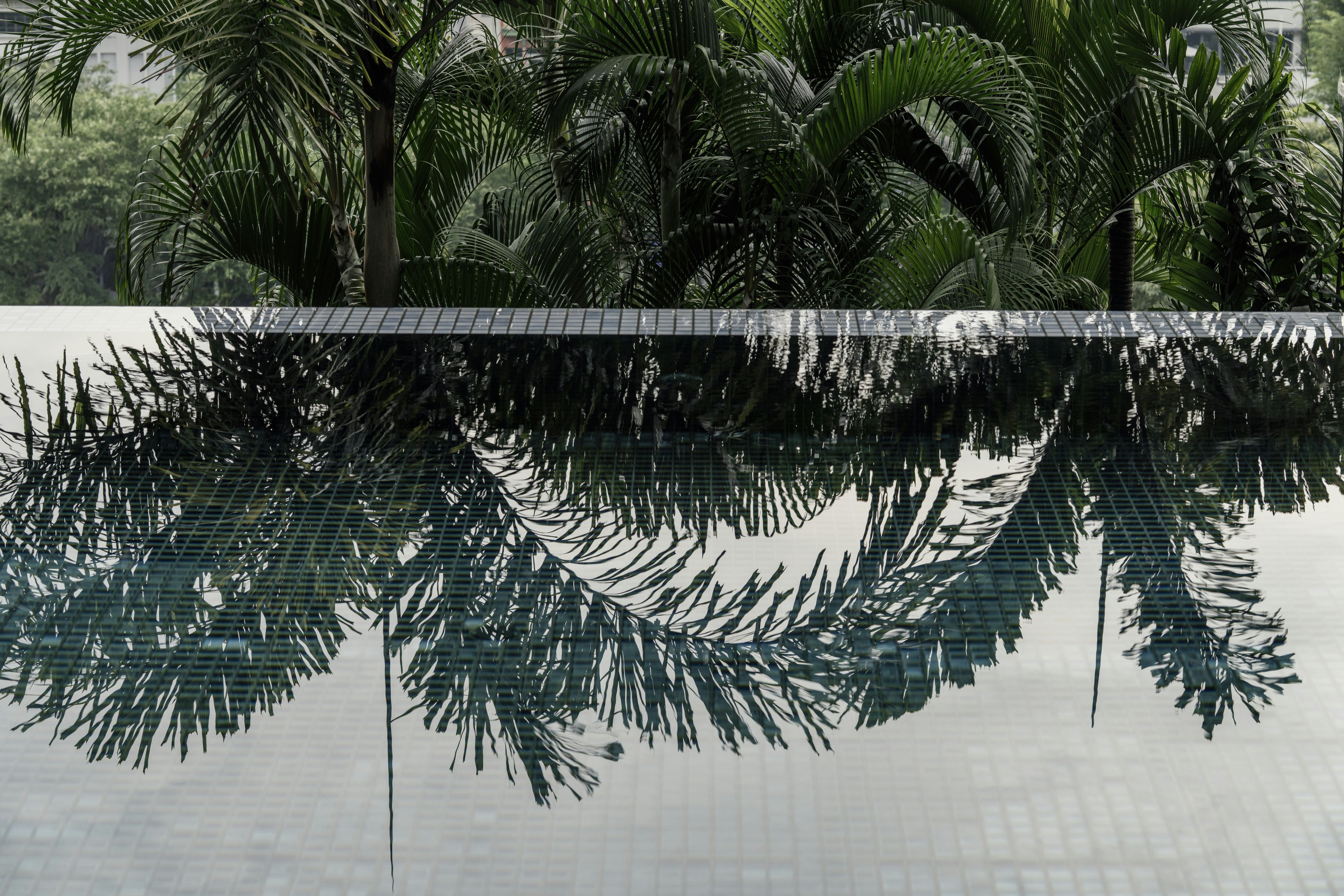 Photo by nerissa_j_photography