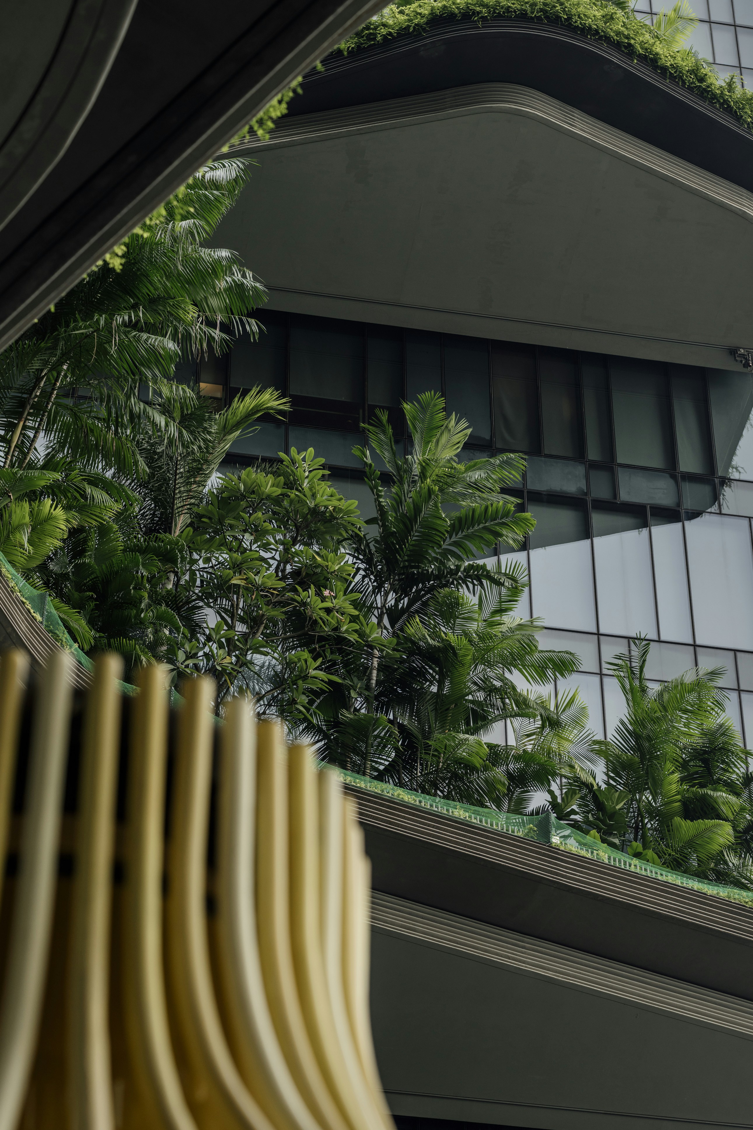 Photo by nerissa_j_photography