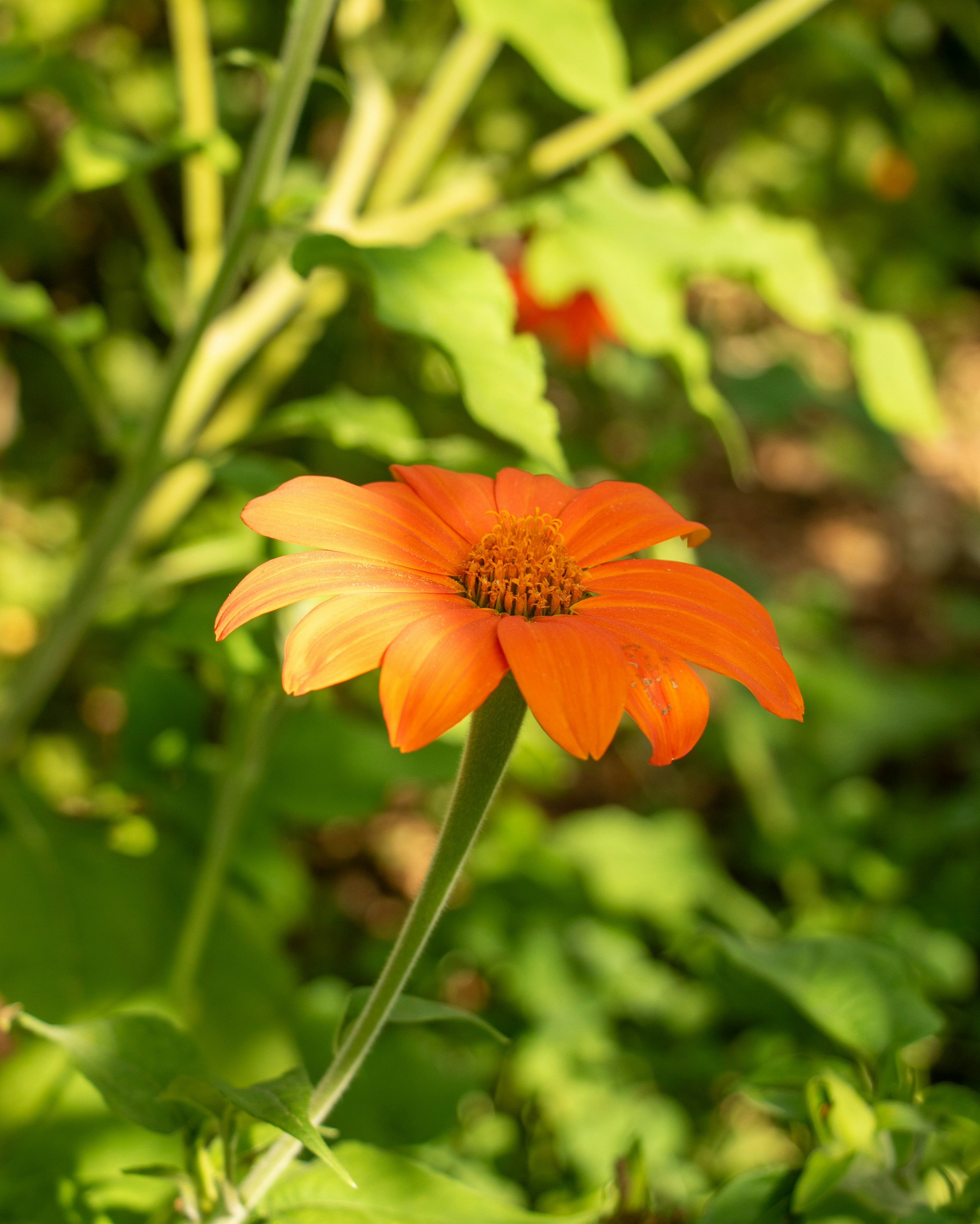 Photo by captured_by_vbs