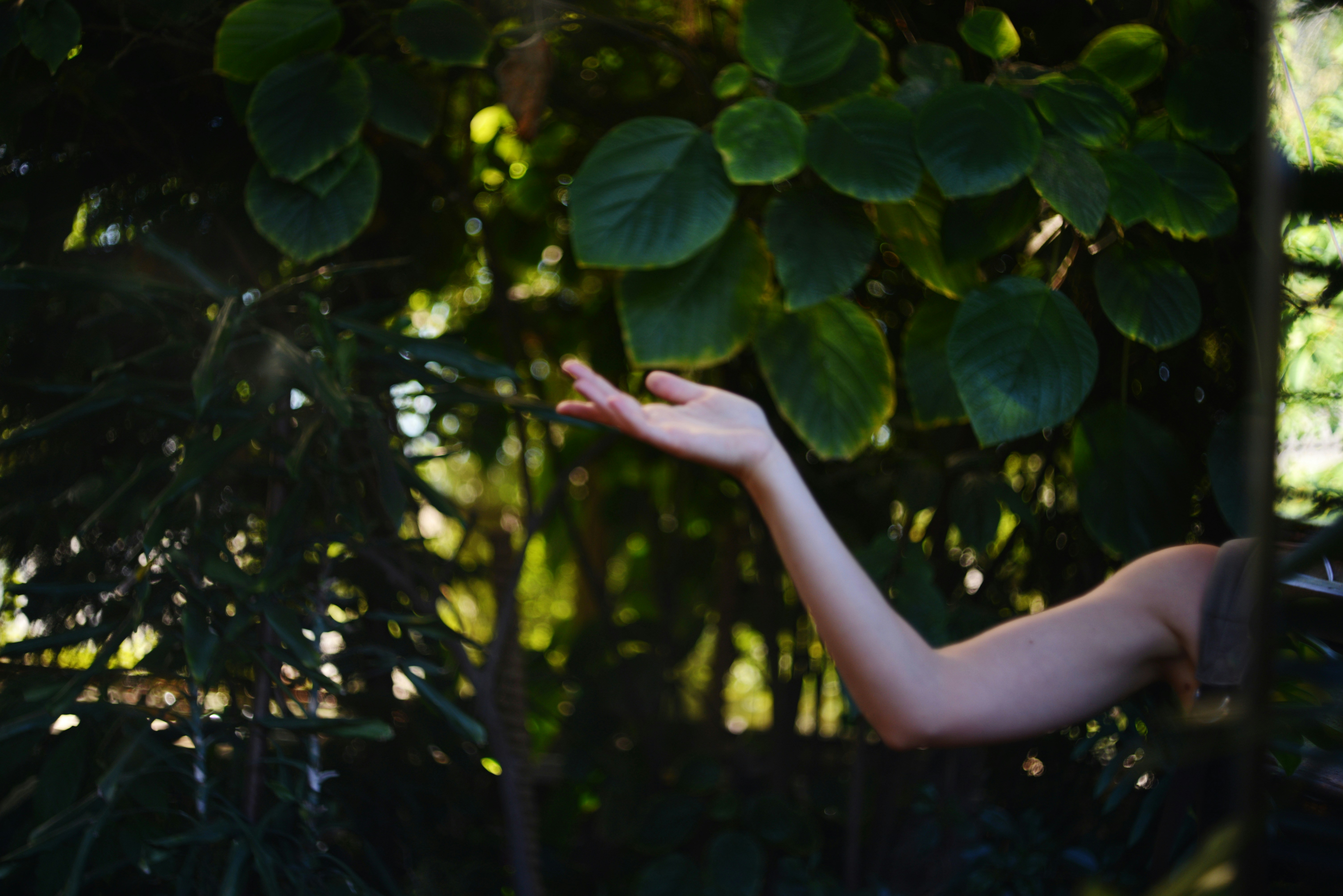 Photo by cherstve_pechivo