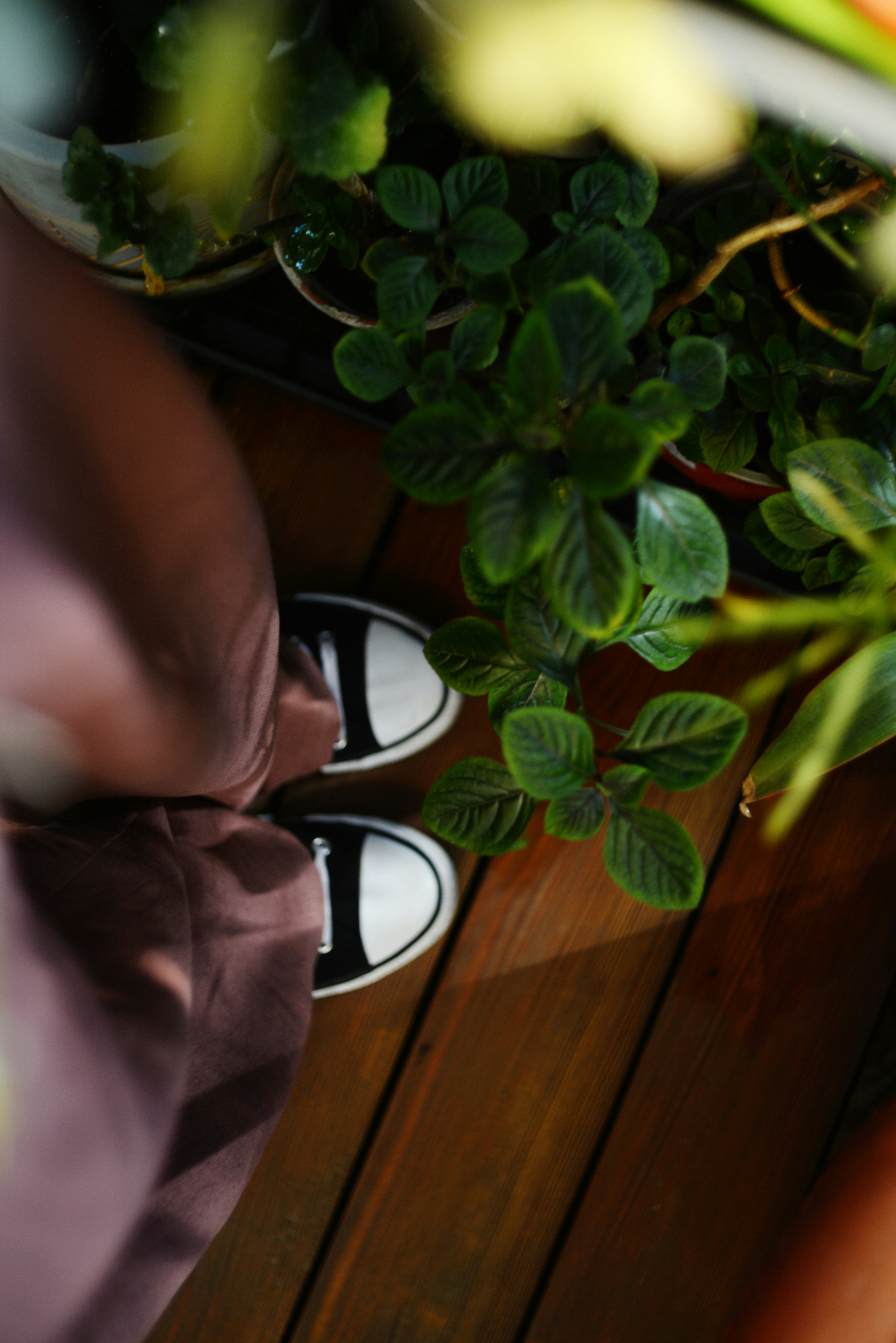 Photo by cherstve_pechivo