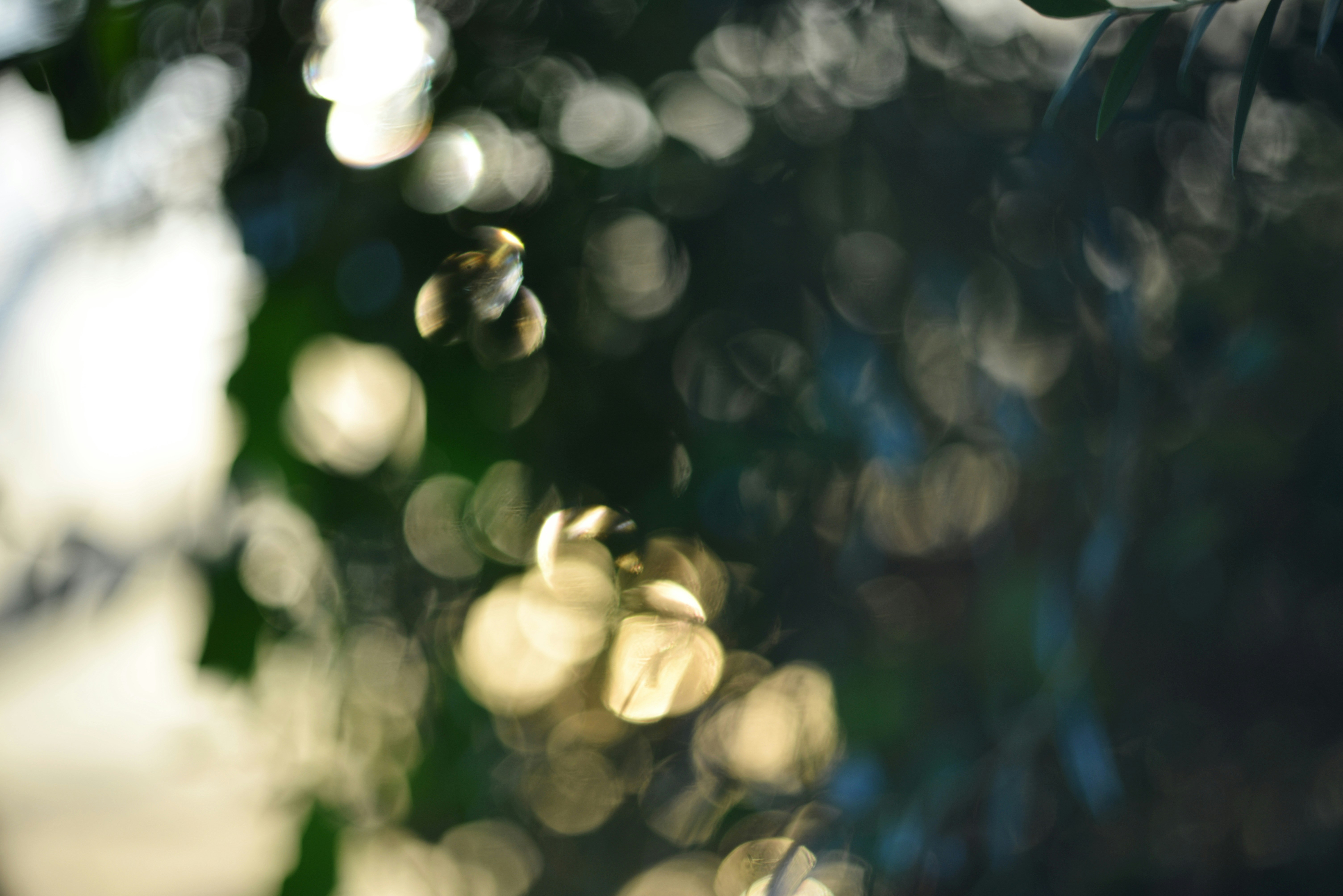 Photo by cherstve_pechivo