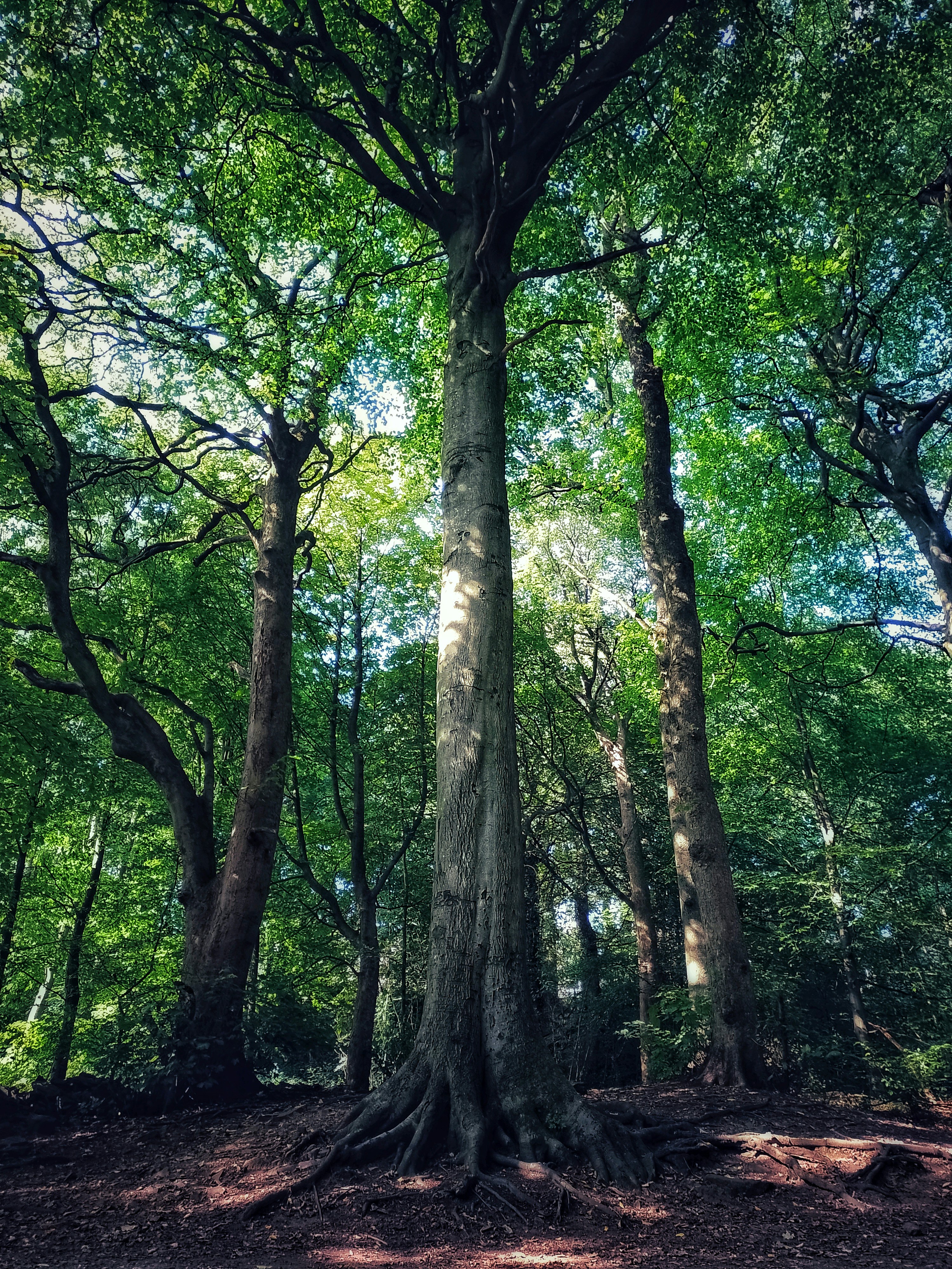 Photo by ben_everett