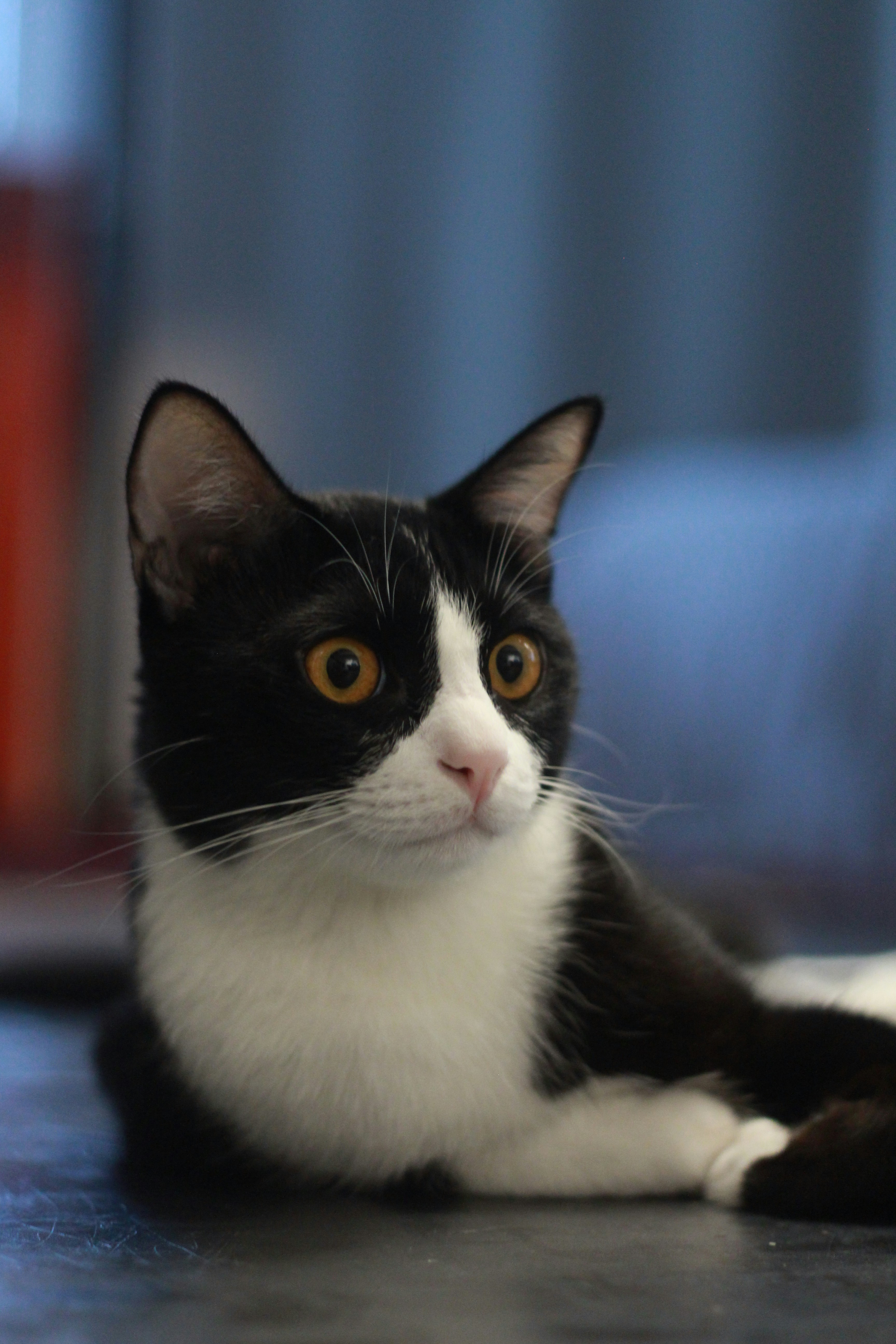 Photo by norapitch_p