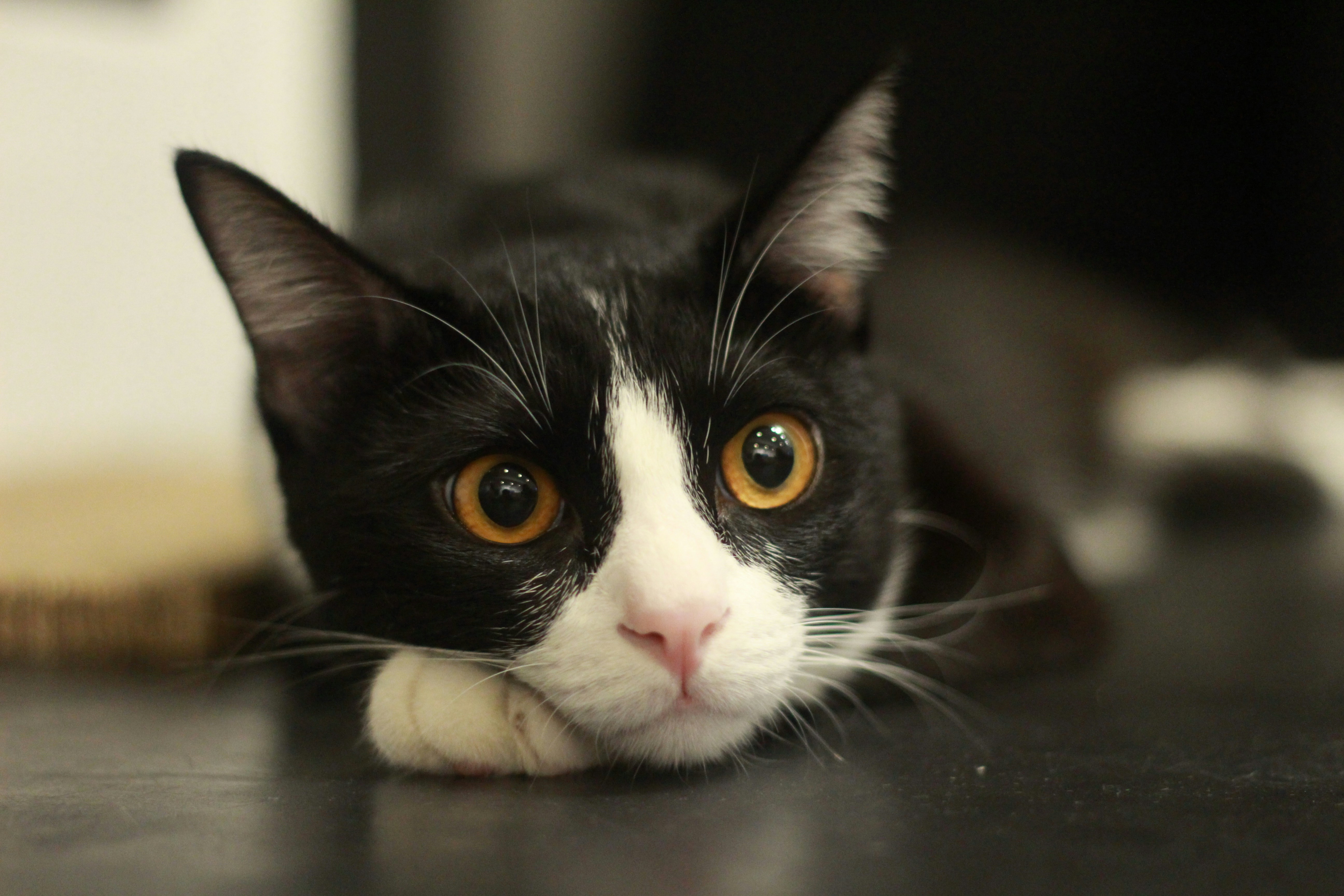 Photo by norapitch_p