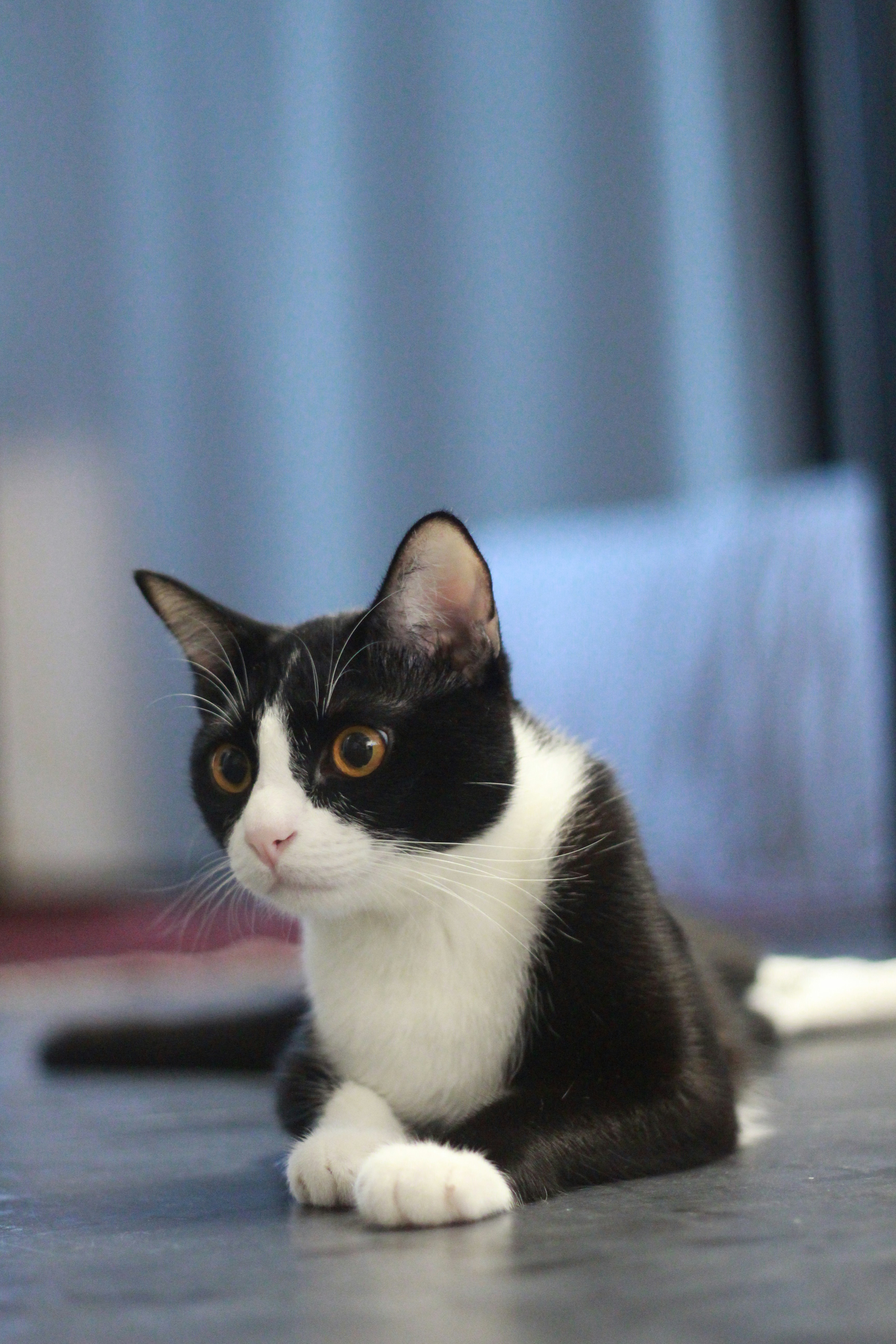 Photo by norapitch_p