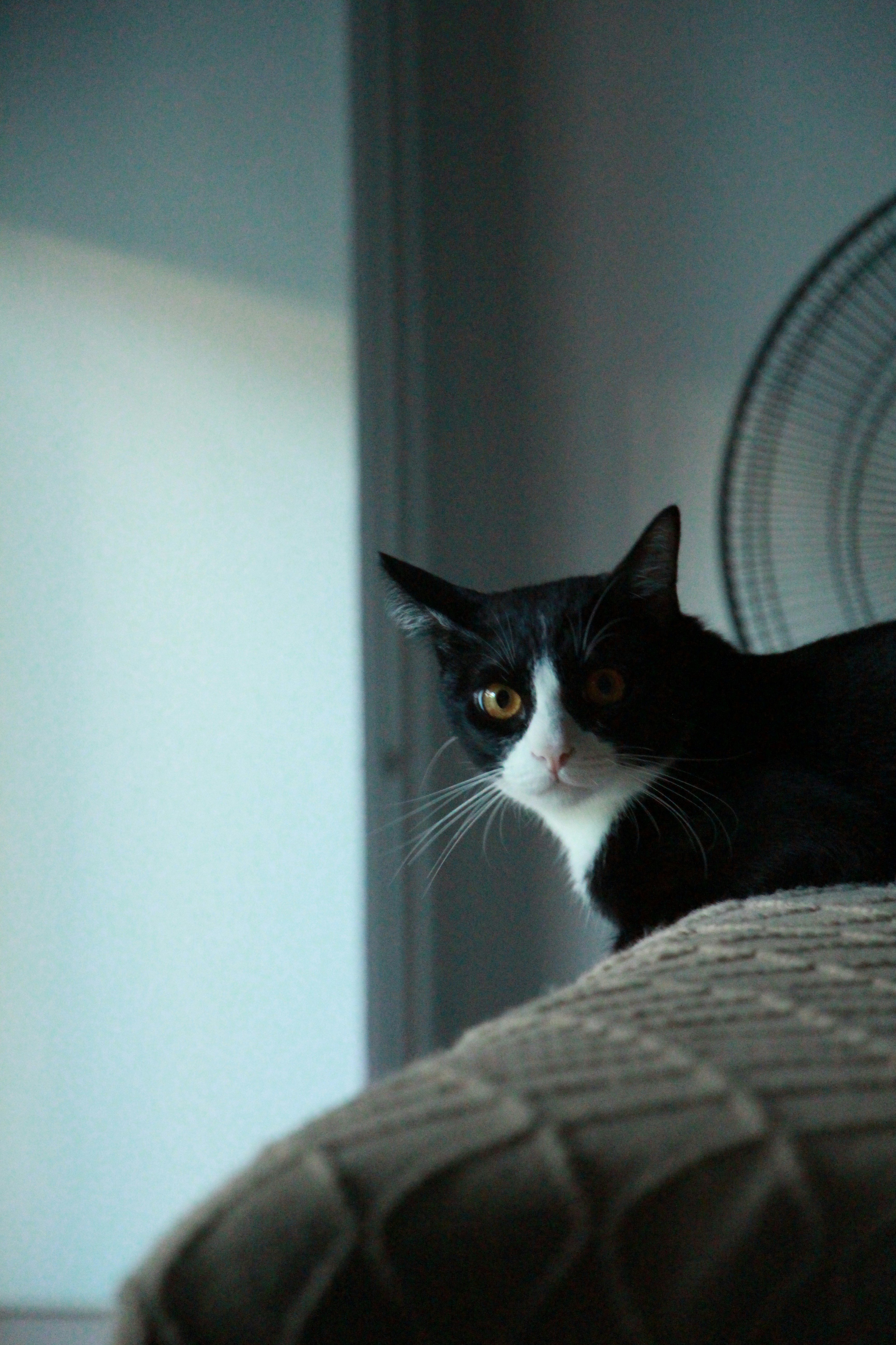 Photo by norapitch_p