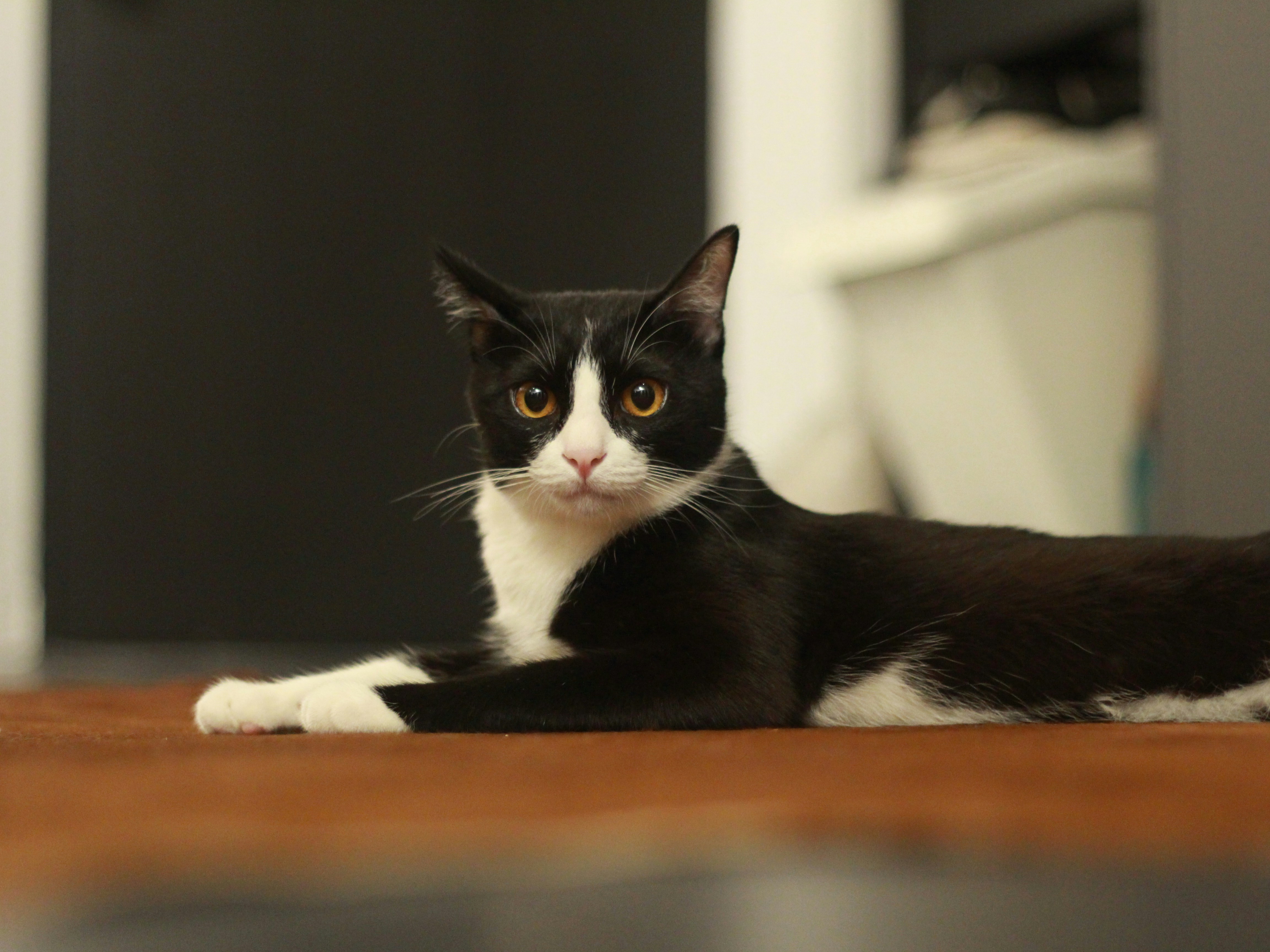 Photo by norapitch_p