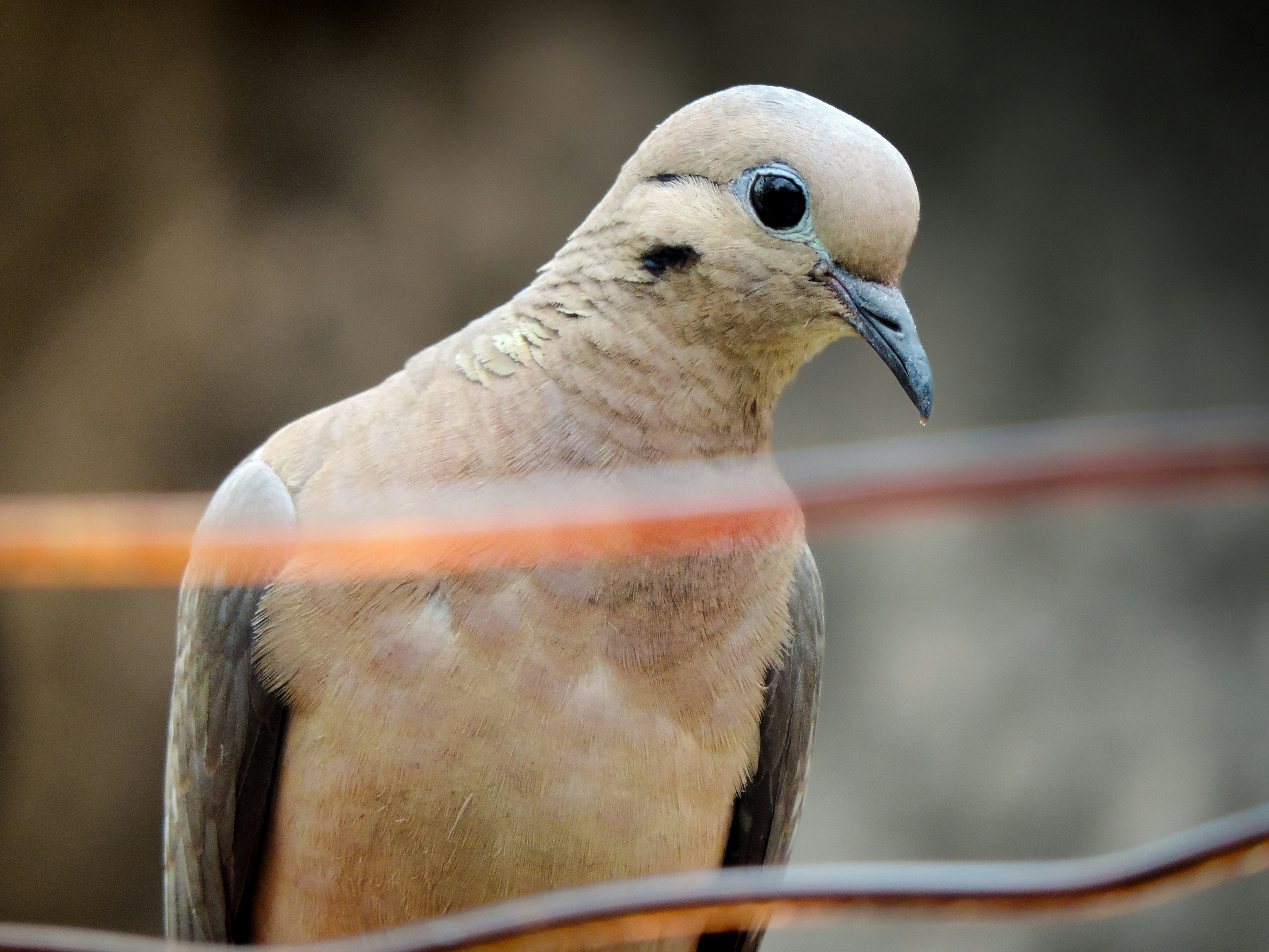 Photo by ibanez_marco