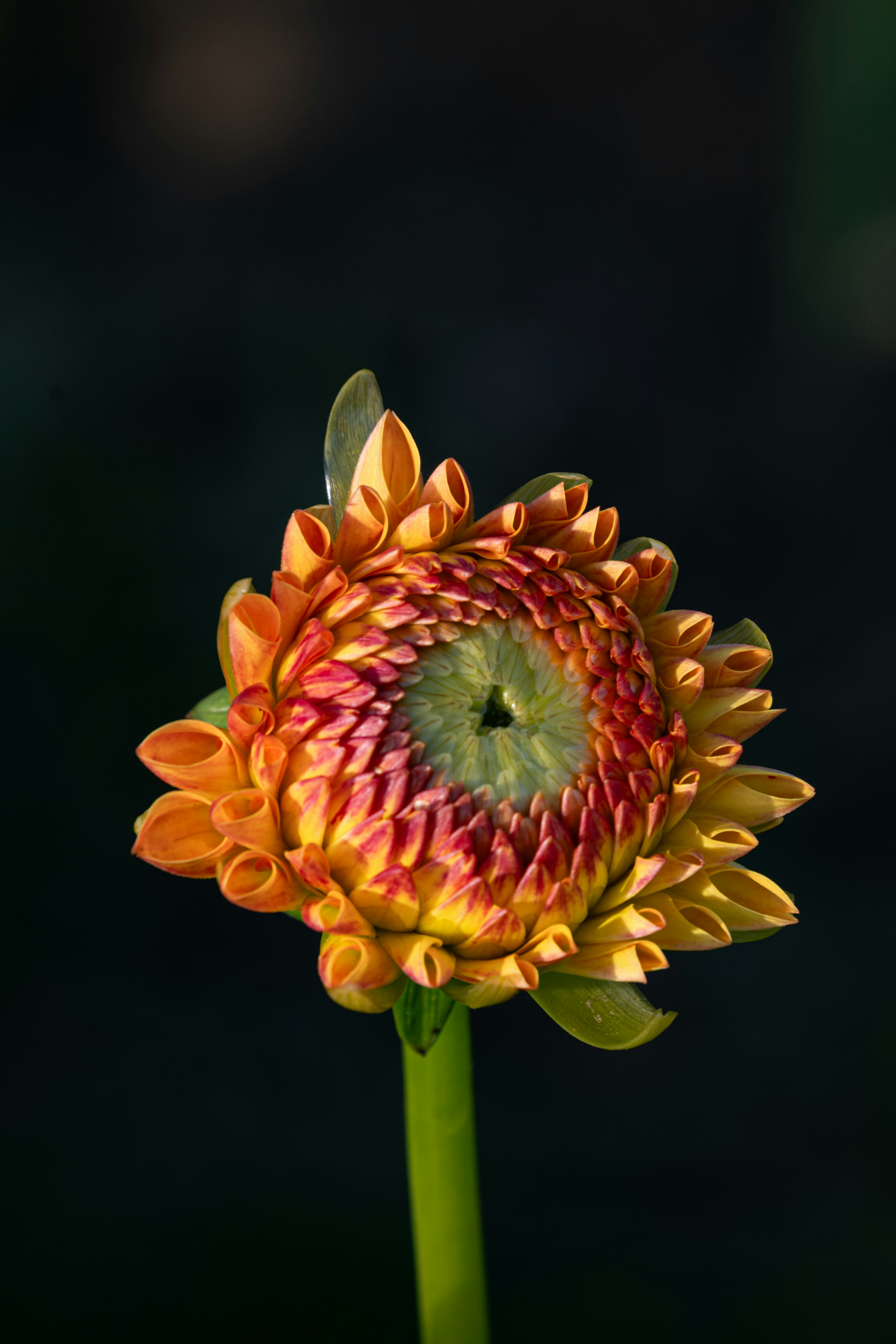 Photo by siegfriedpoepperl