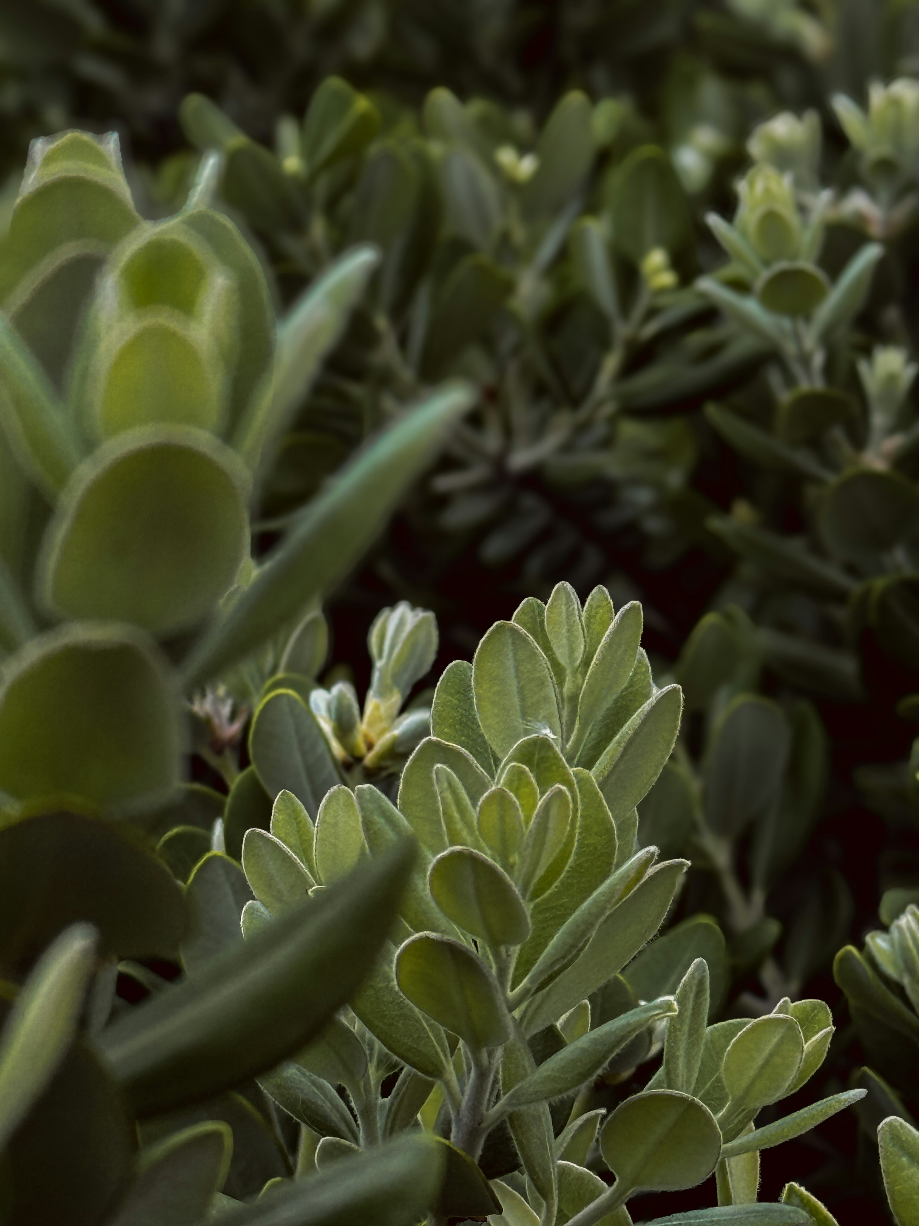 Photo by anastasiia_levytska