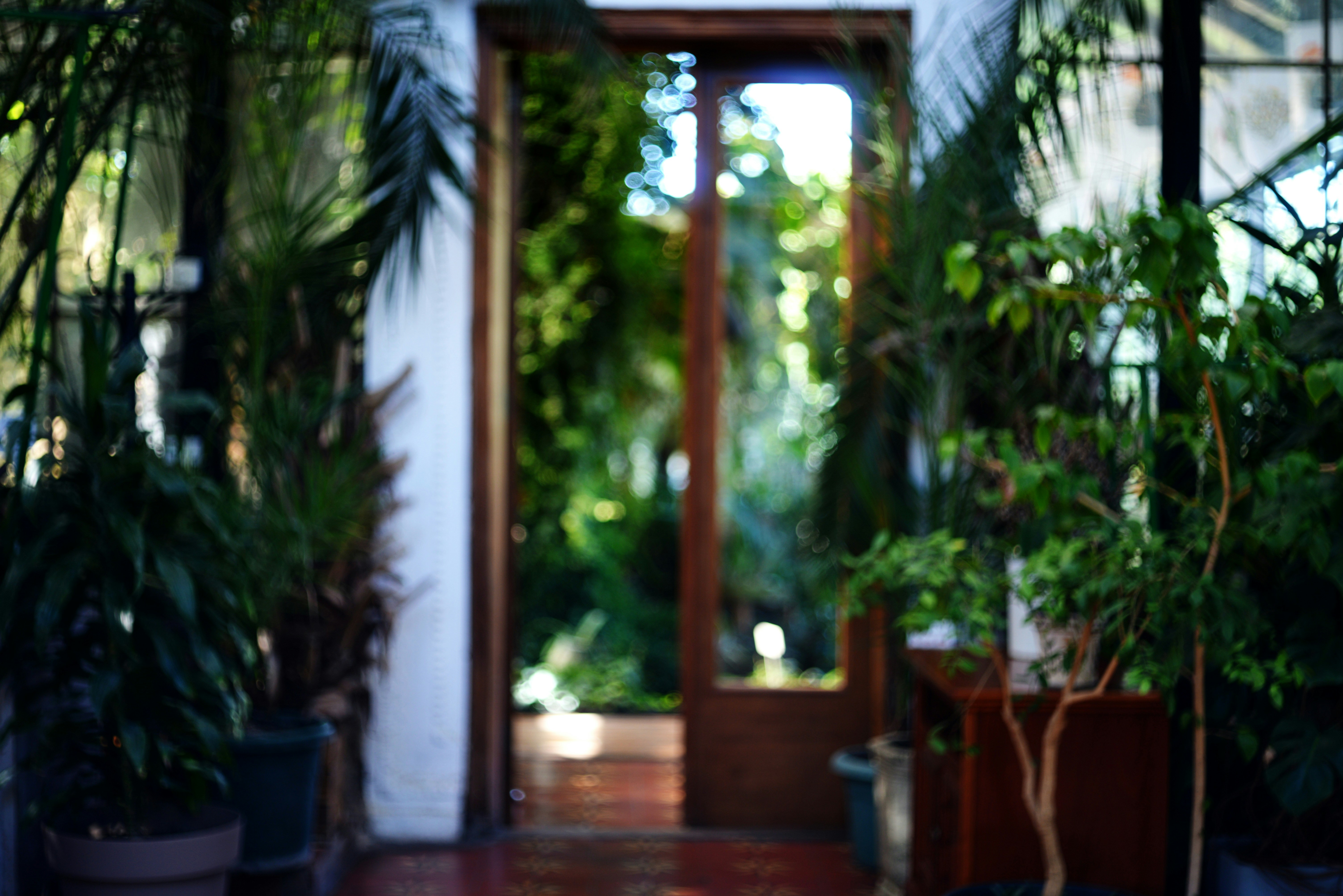 Photo by cherstve_pechivo