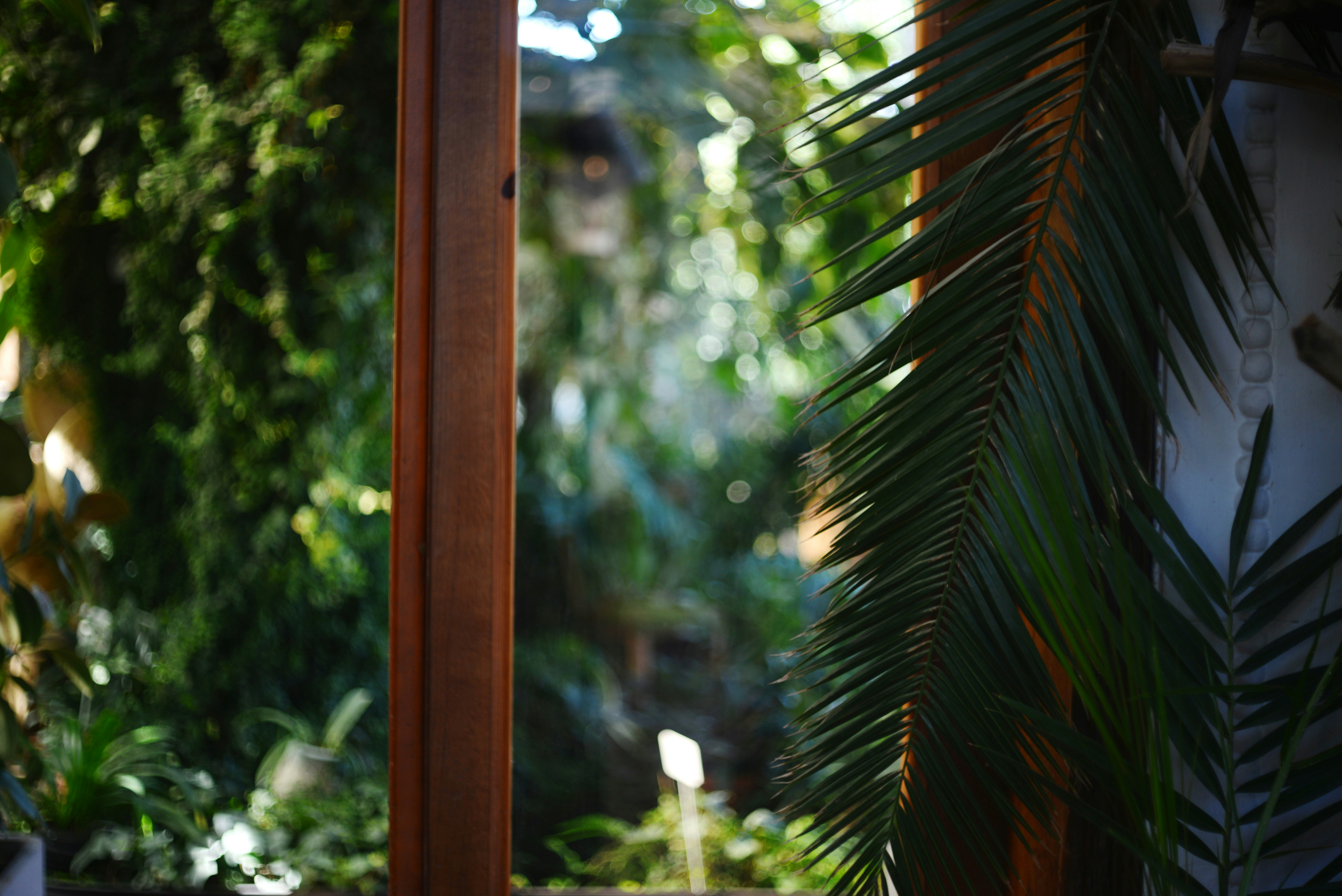 Photo by cherstve_pechivo