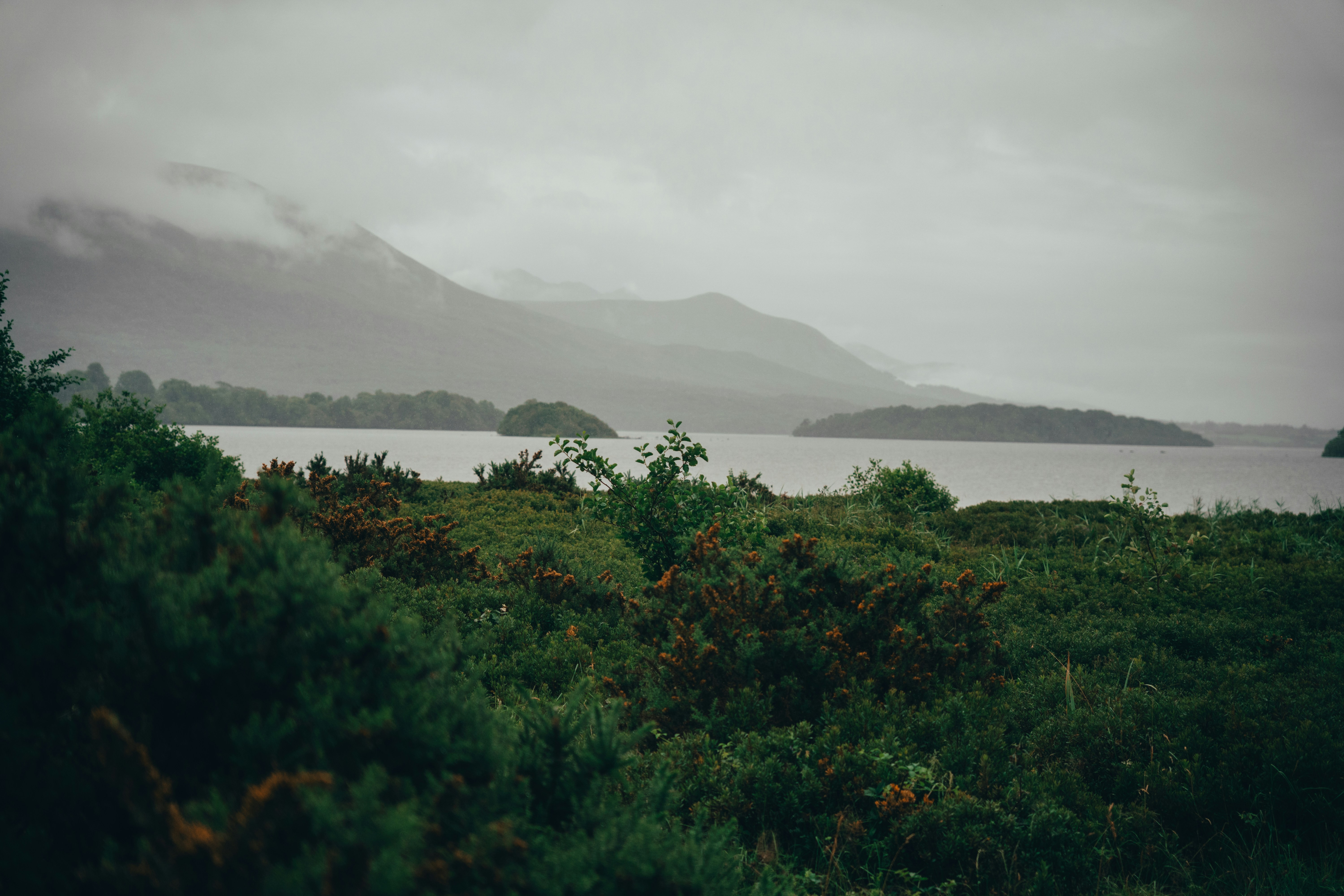 Photo by annahunko