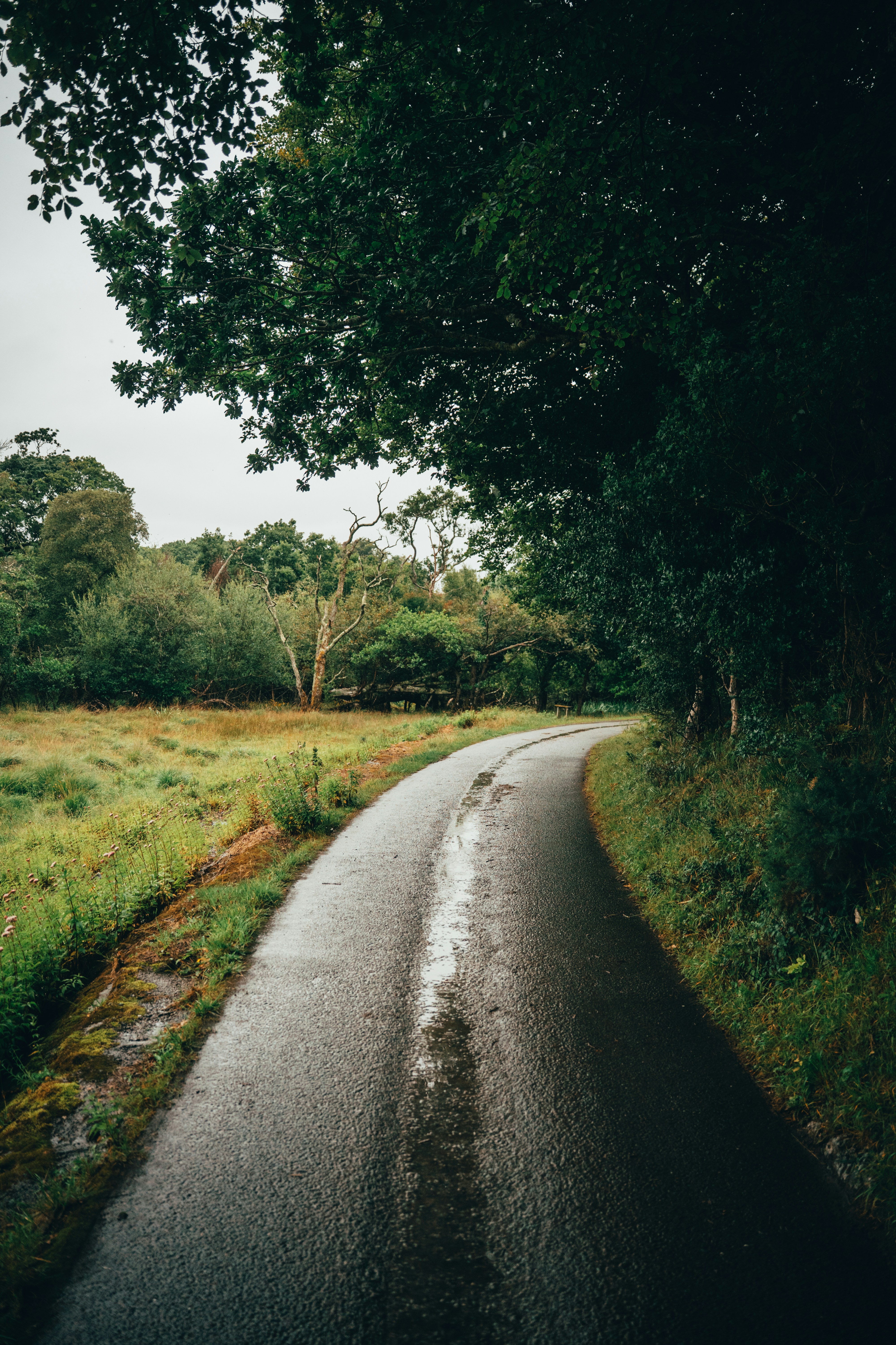 Photo by annahunko