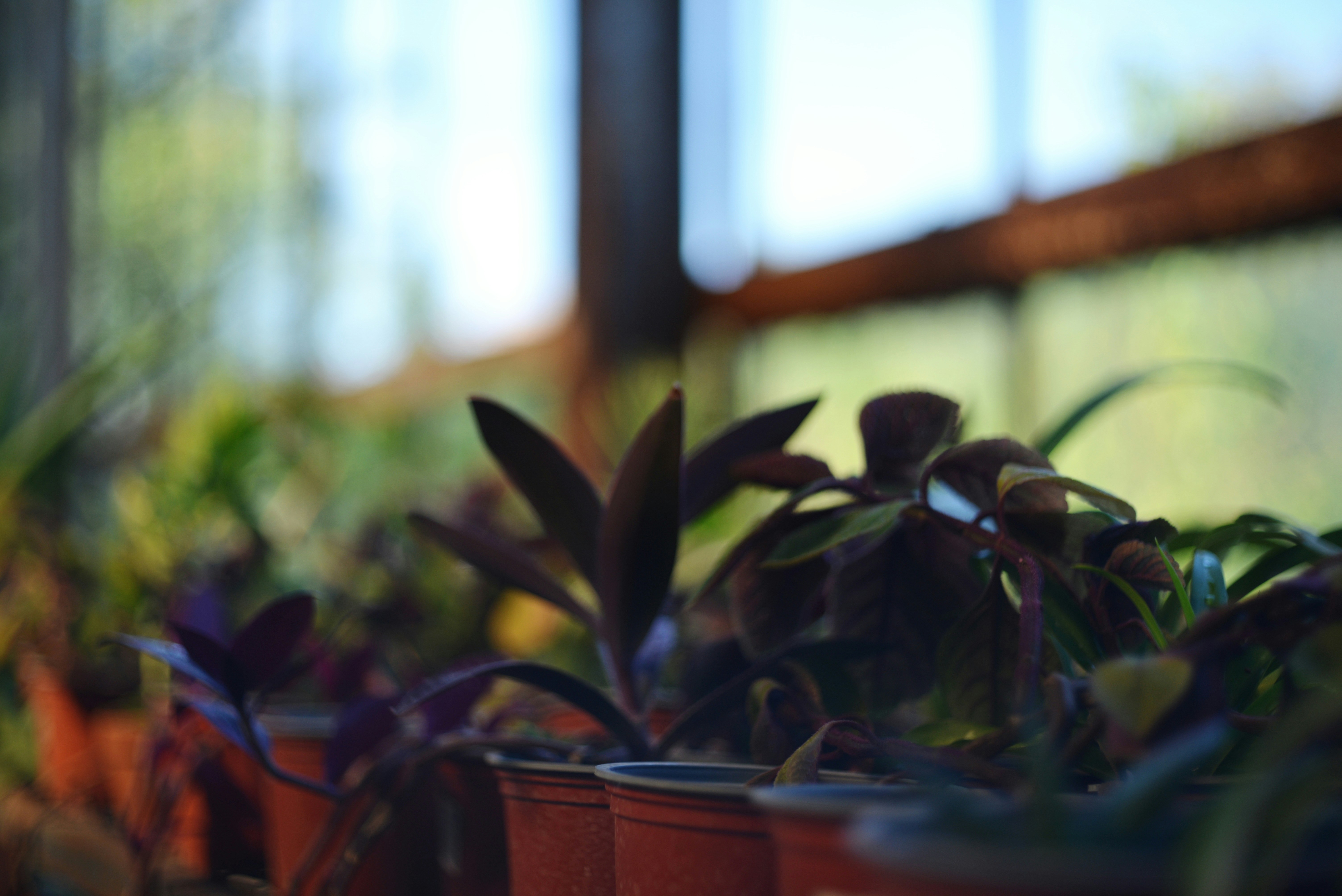 Photo by cherstve_pechivo