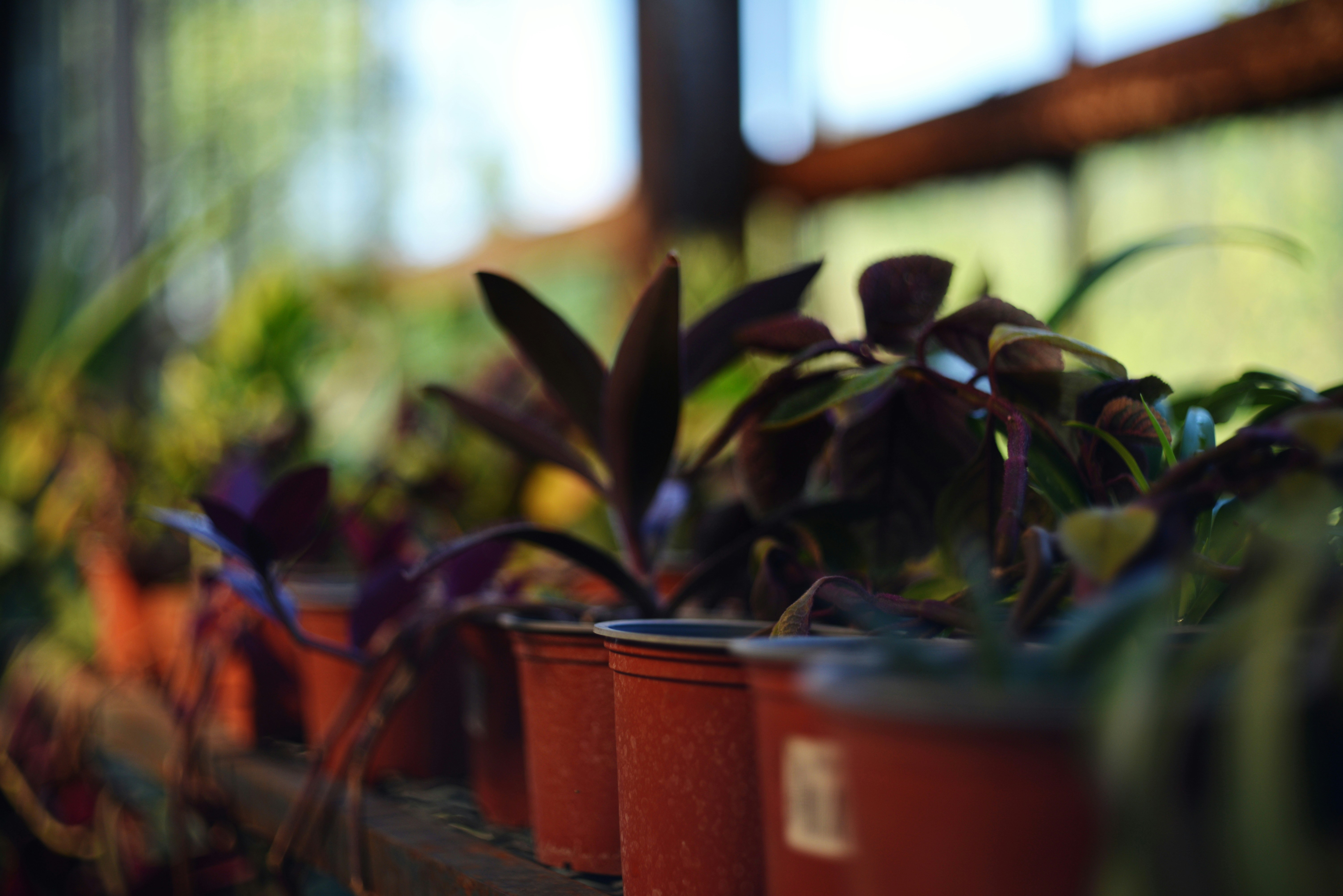 Photo by cherstve_pechivo