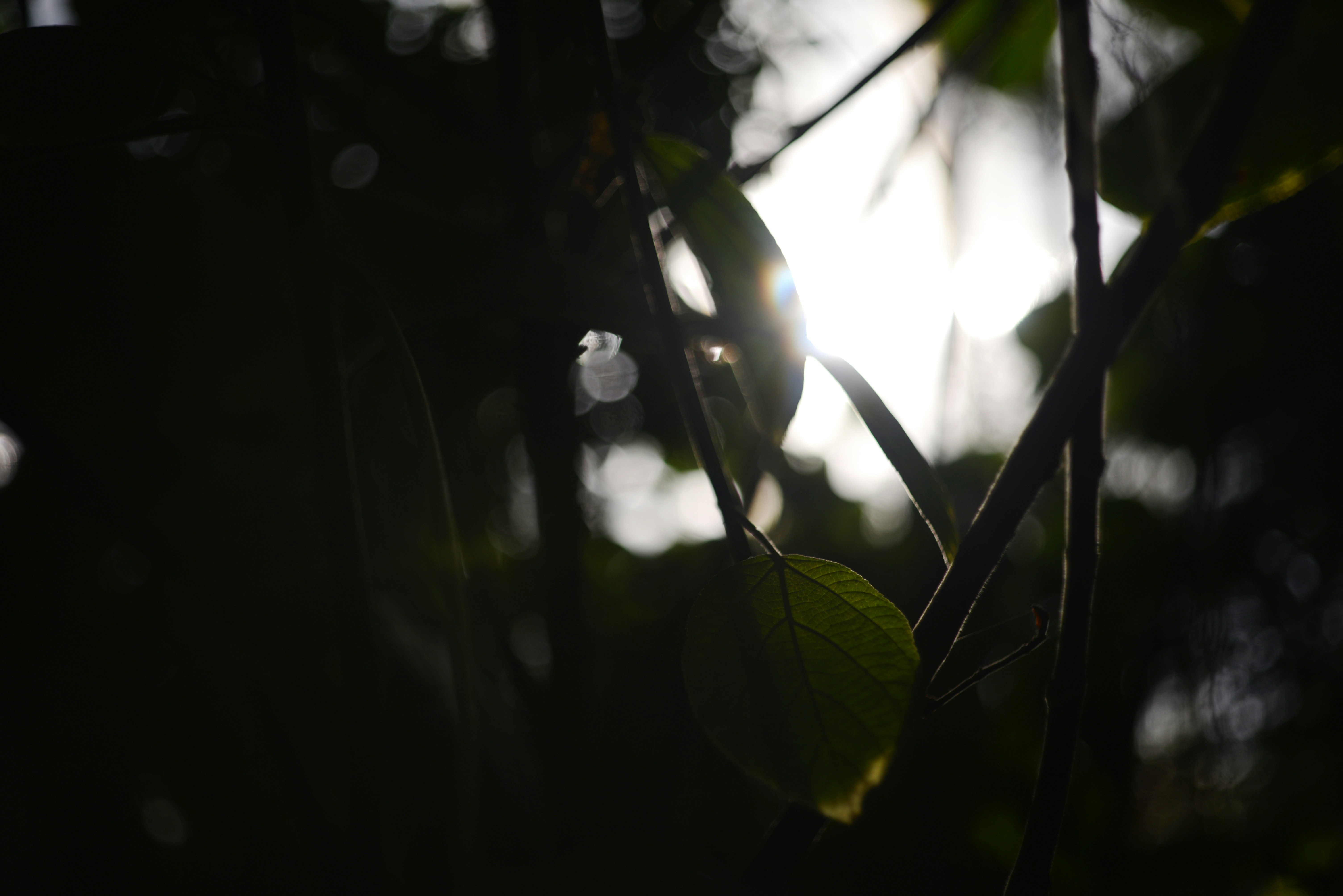 Photo by cherstve_pechivo