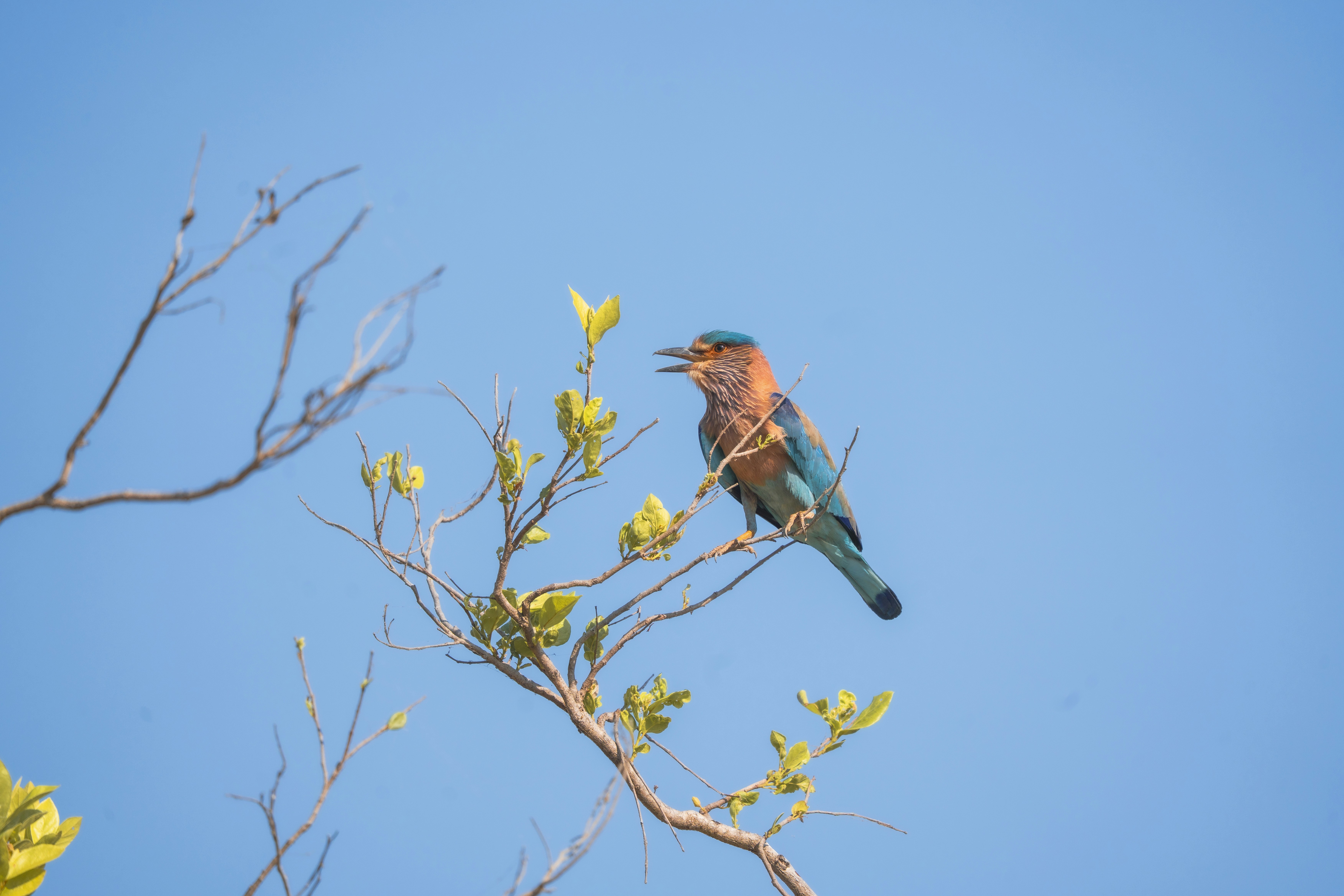 Photo by paul_longhurst