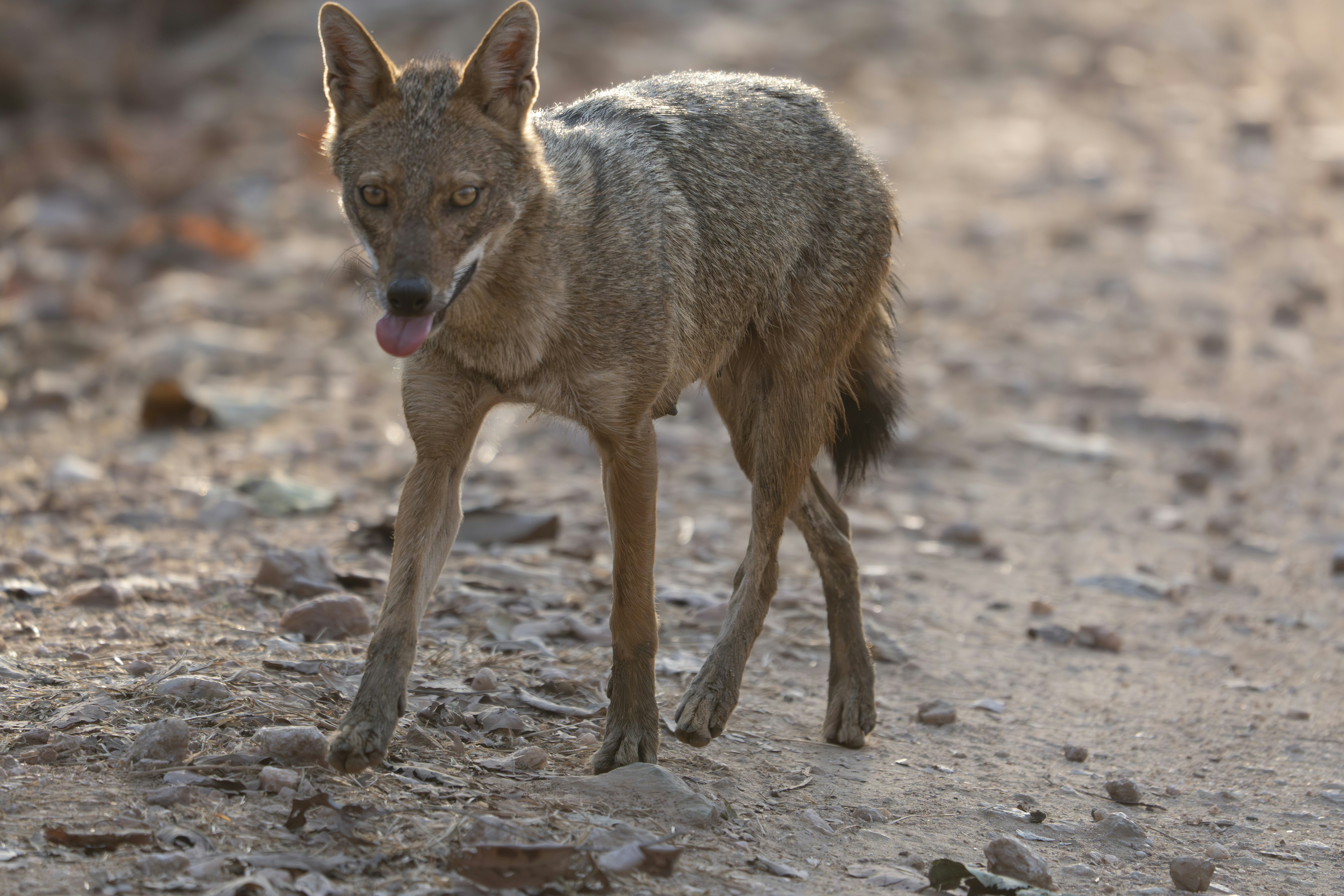 Photo by paul_longhurst