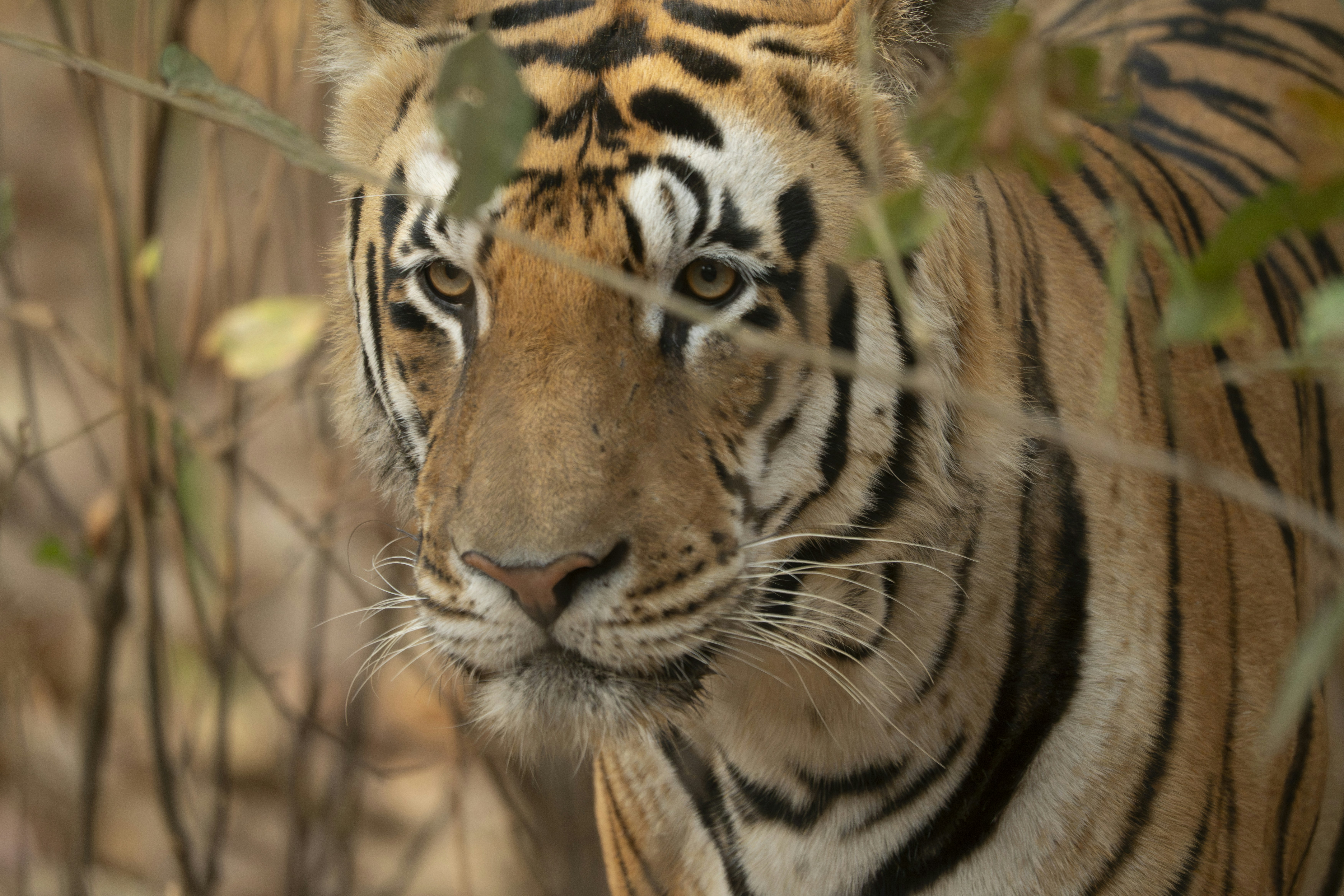 Photo by paul_longhurst