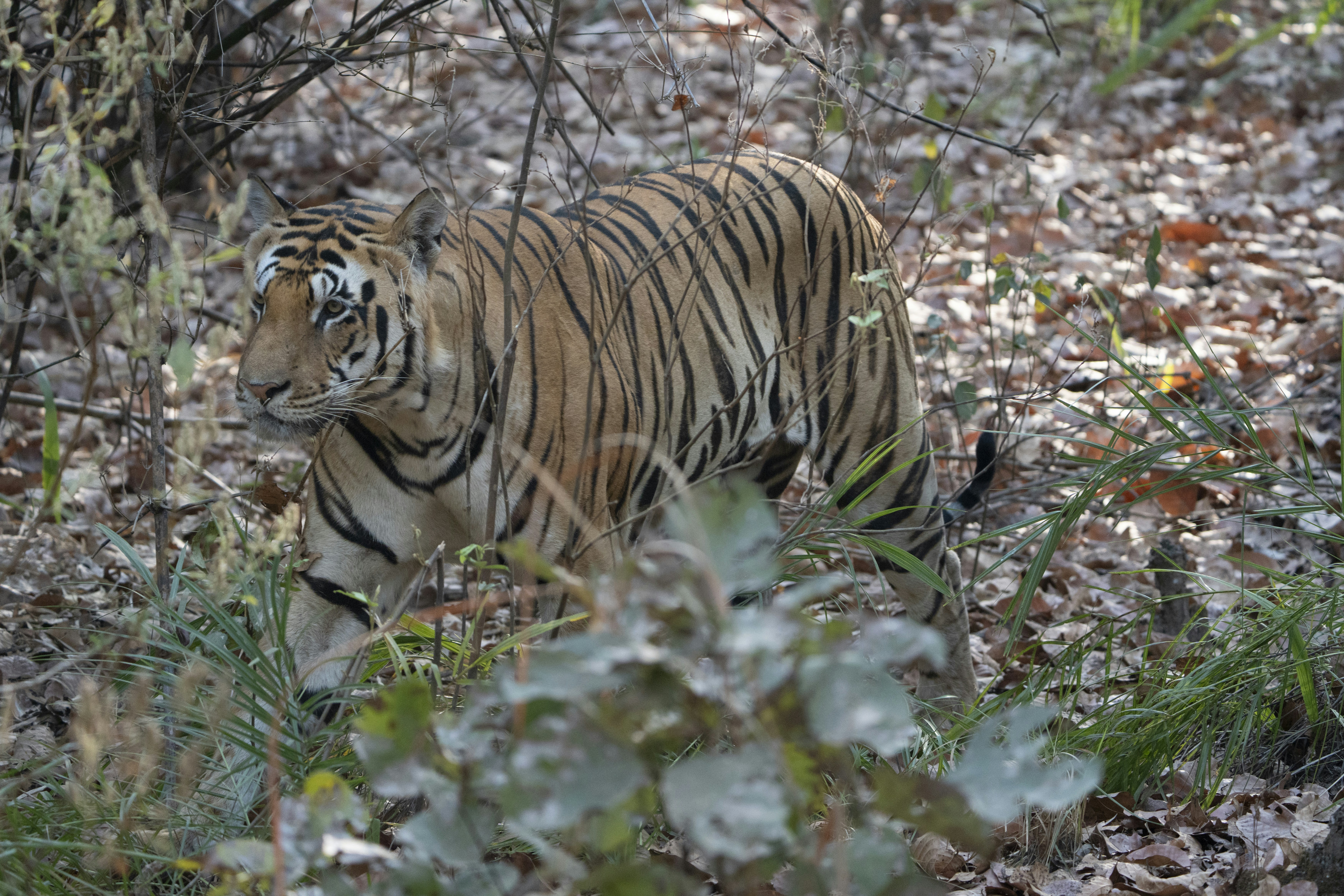 Photo by paul_longhurst