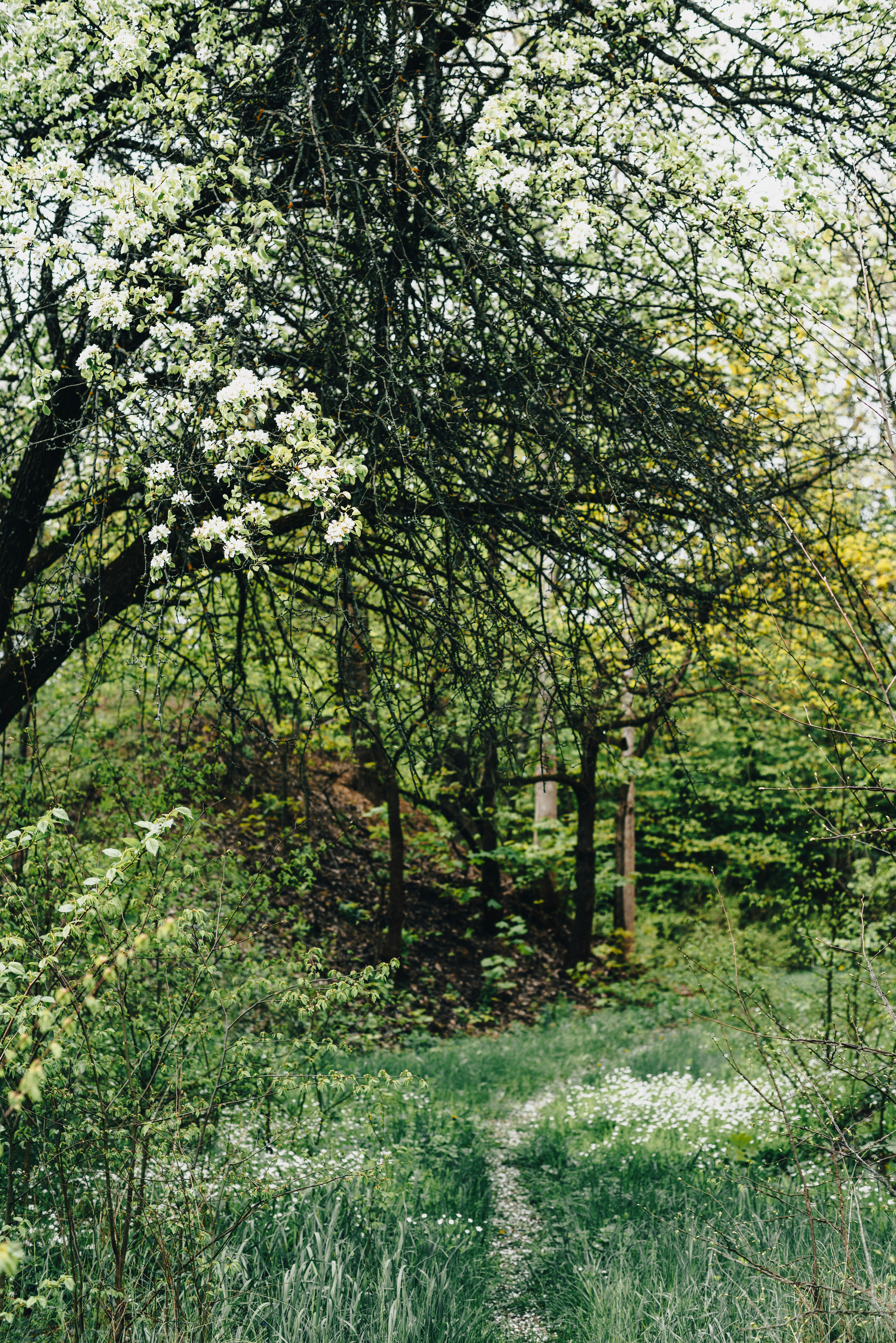 Photo by eugenivy_now