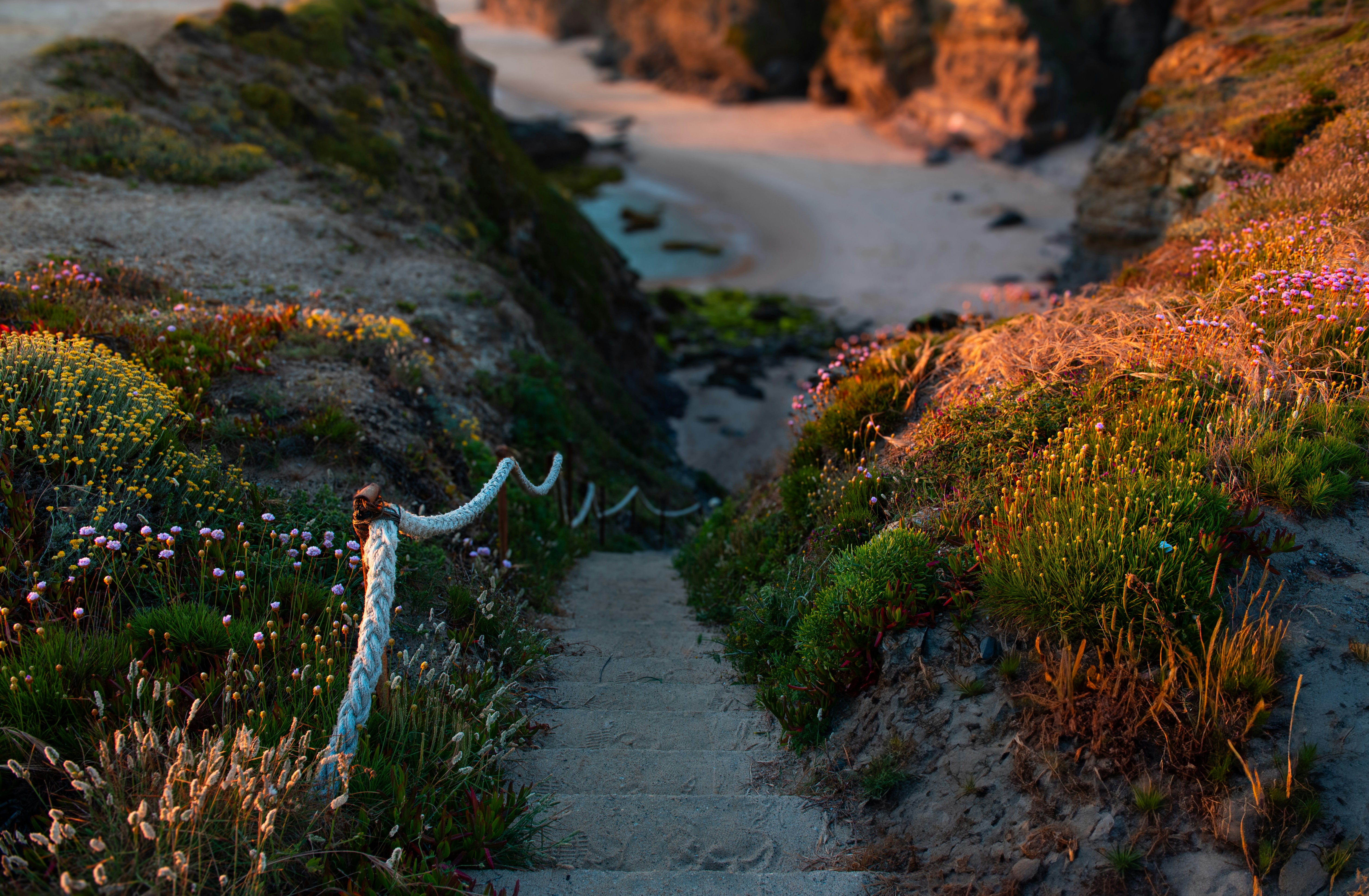 Top Rheumatoid Joint Inflammation Treatments You Ought To Find Out About