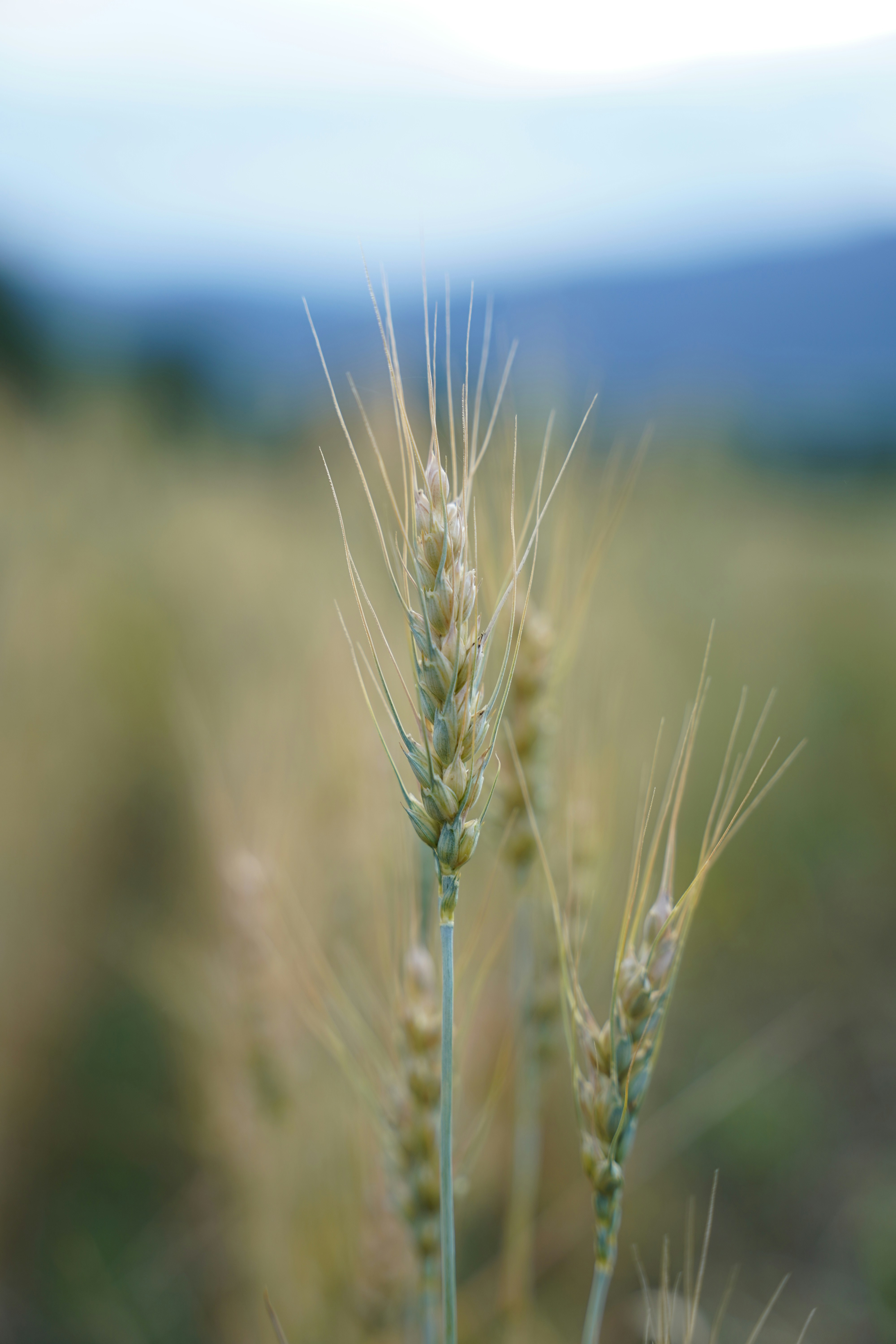 Photo by canyonswartz