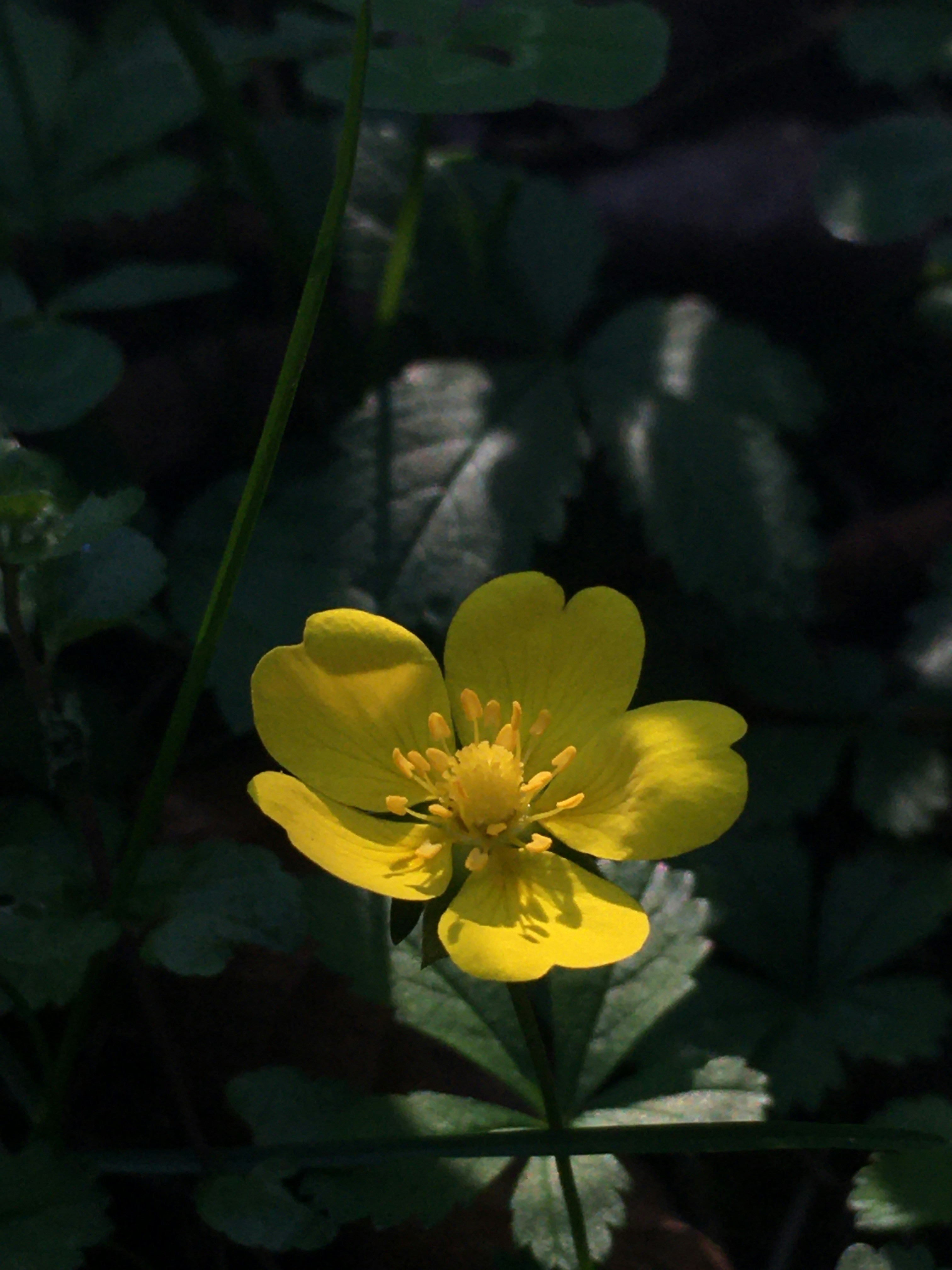 Photo by yunusemresezgi52