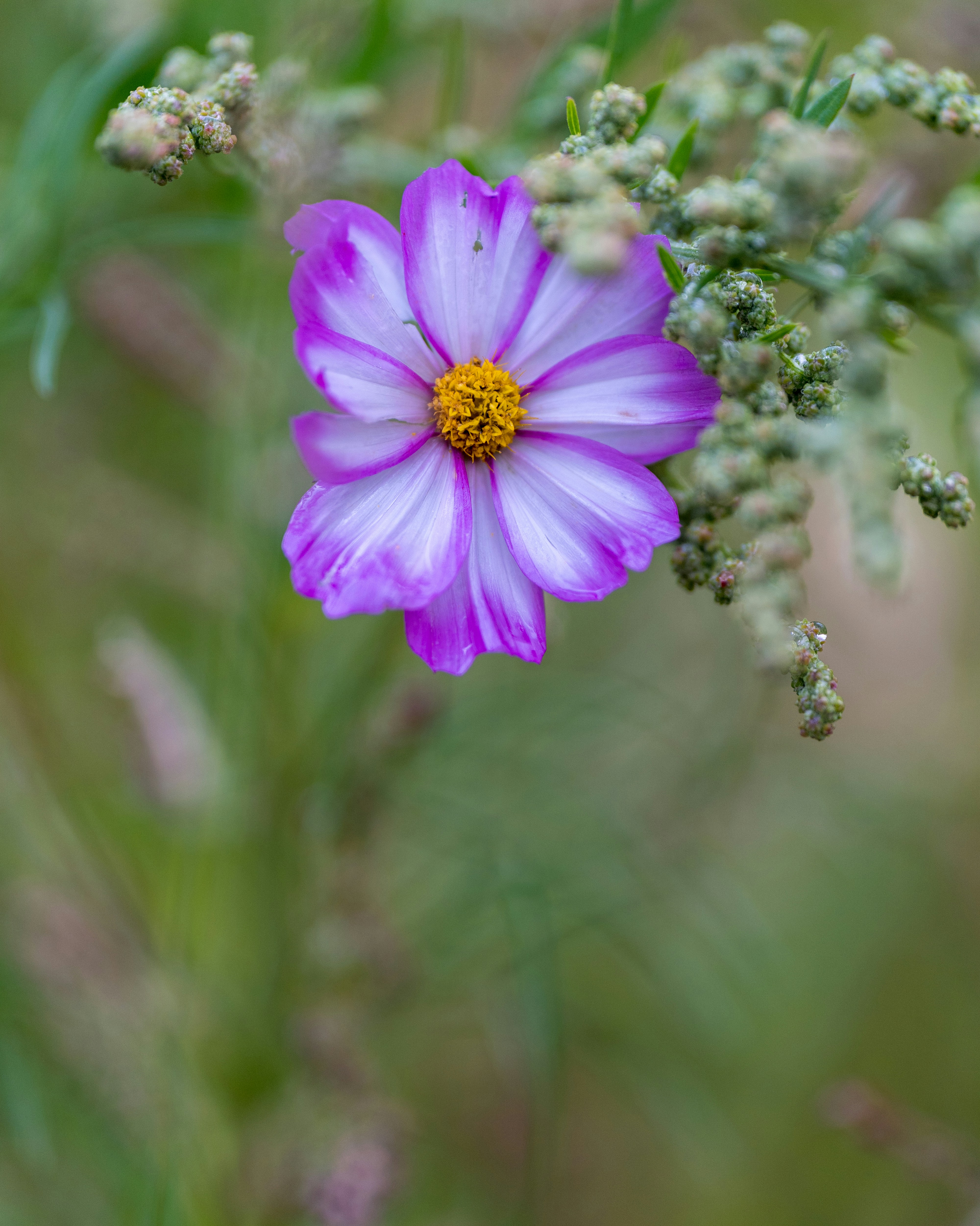 Photo by bangscreative