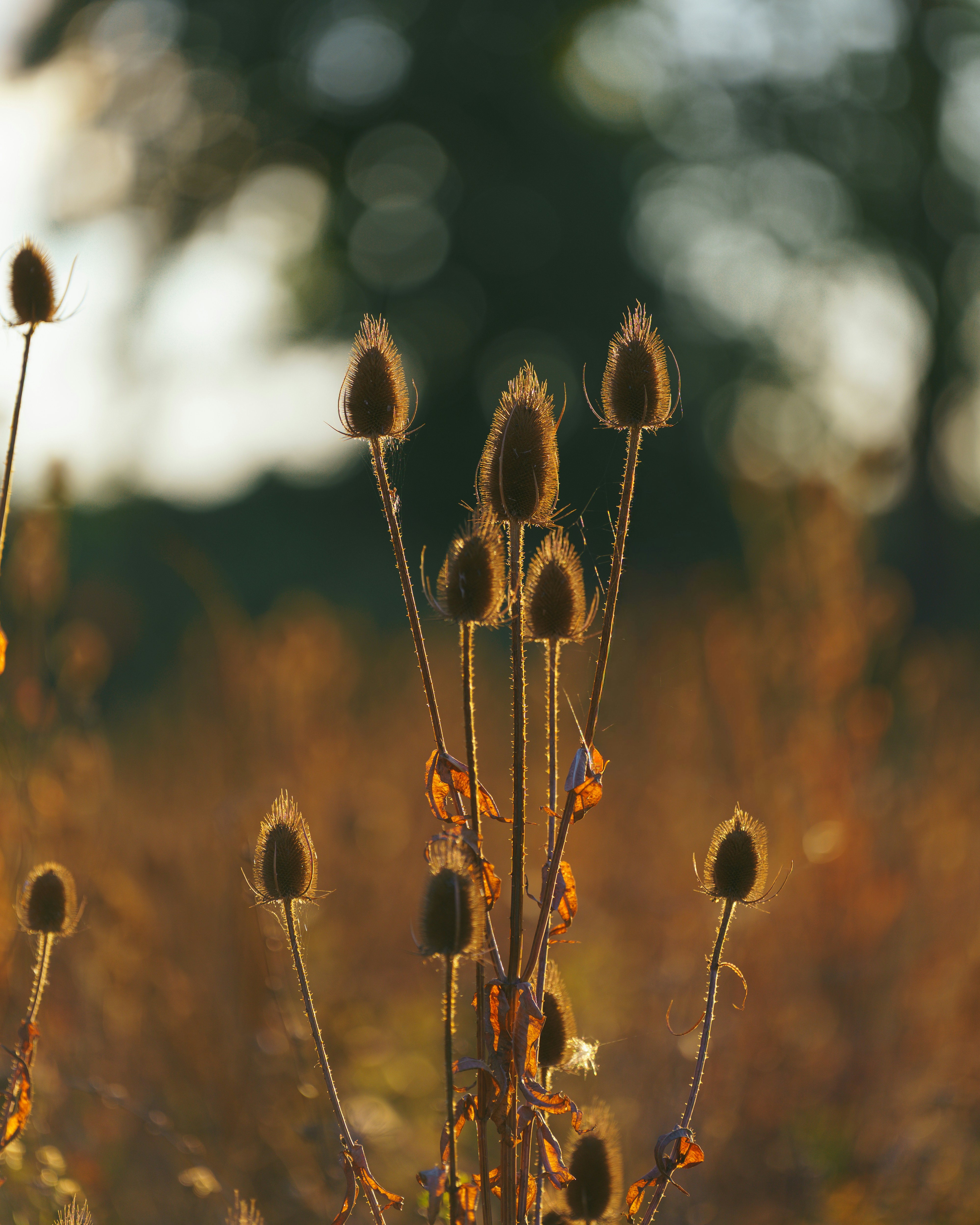 Photo by bangscreative