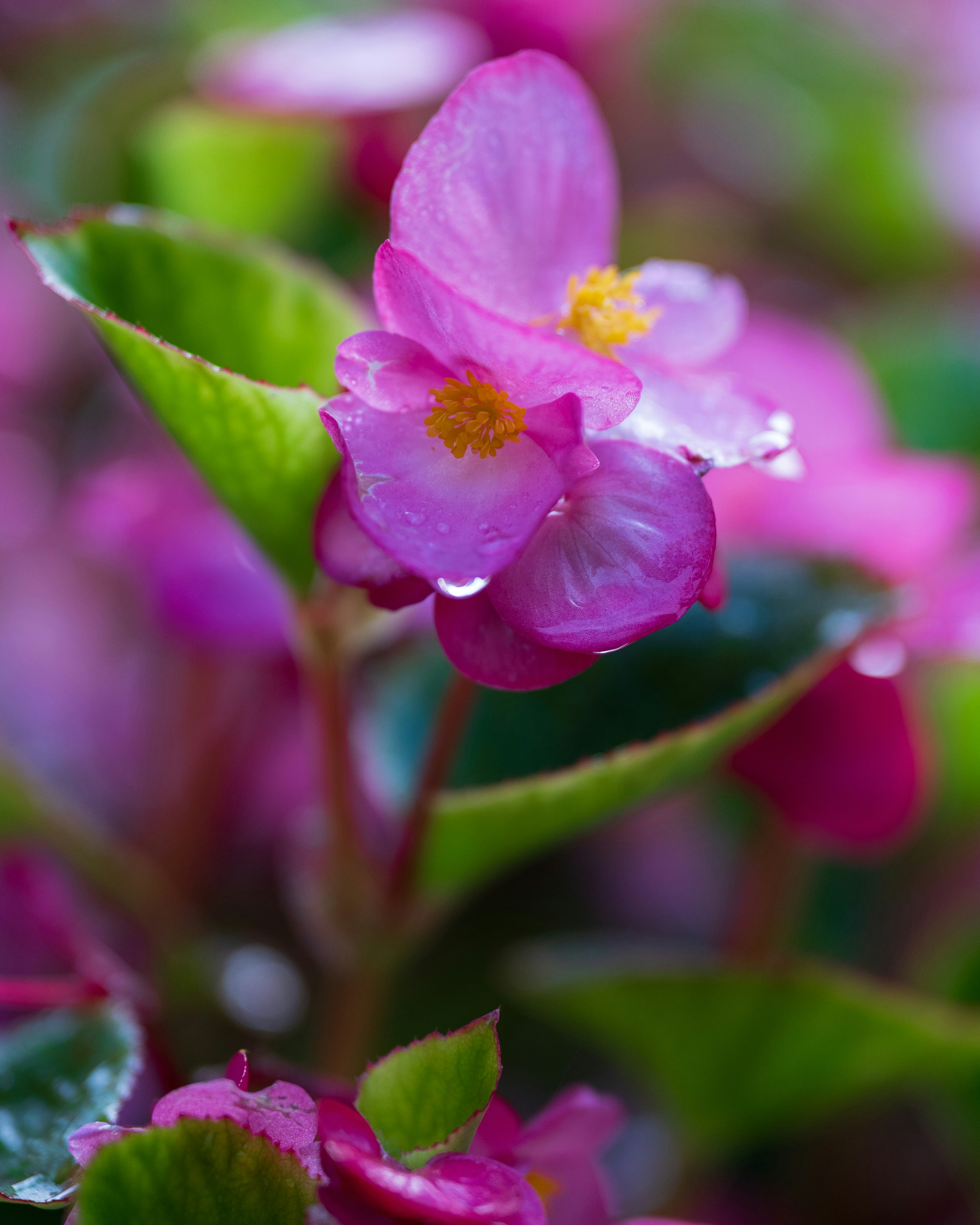 Photo by bangscreative