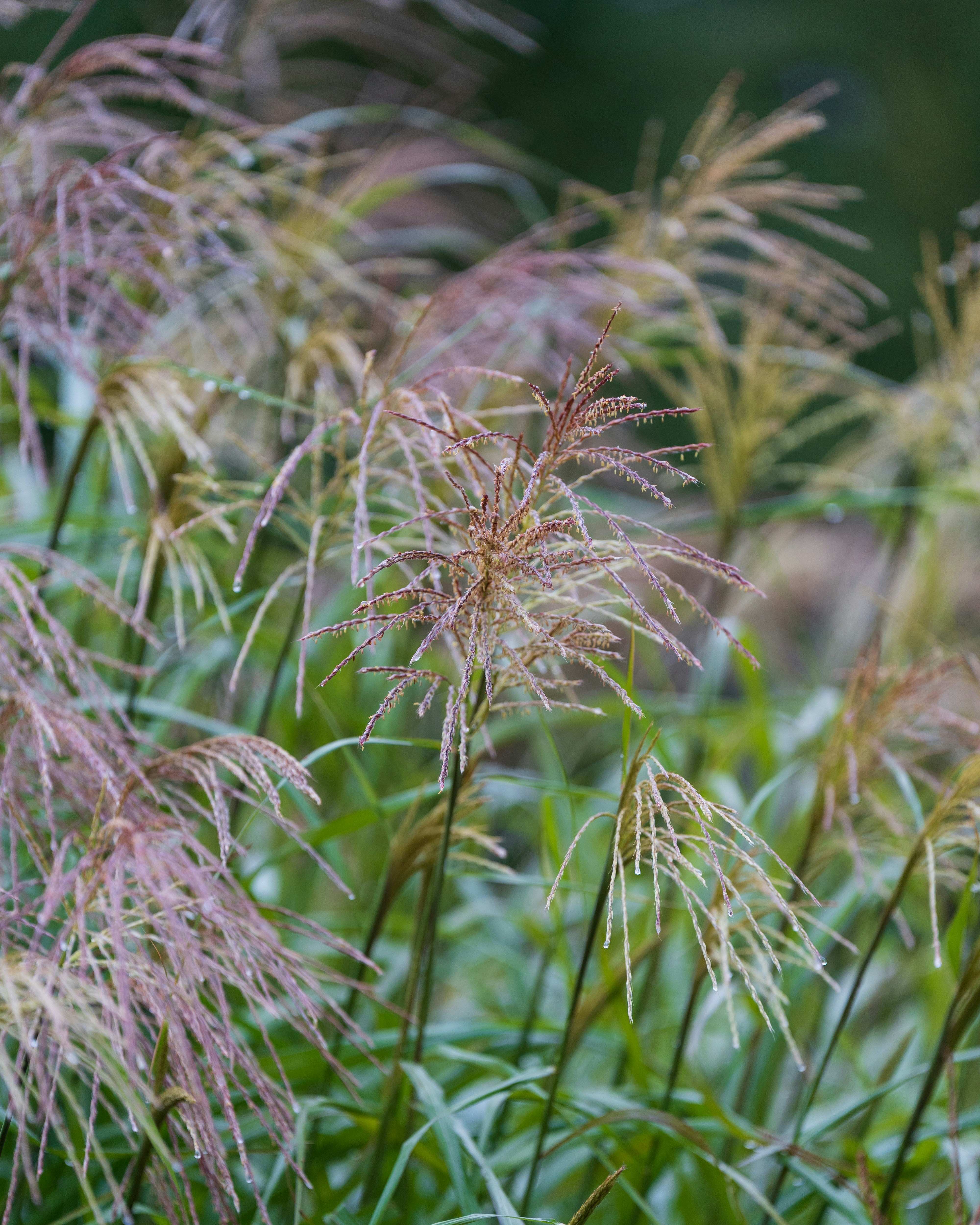 Photo by bangscreative